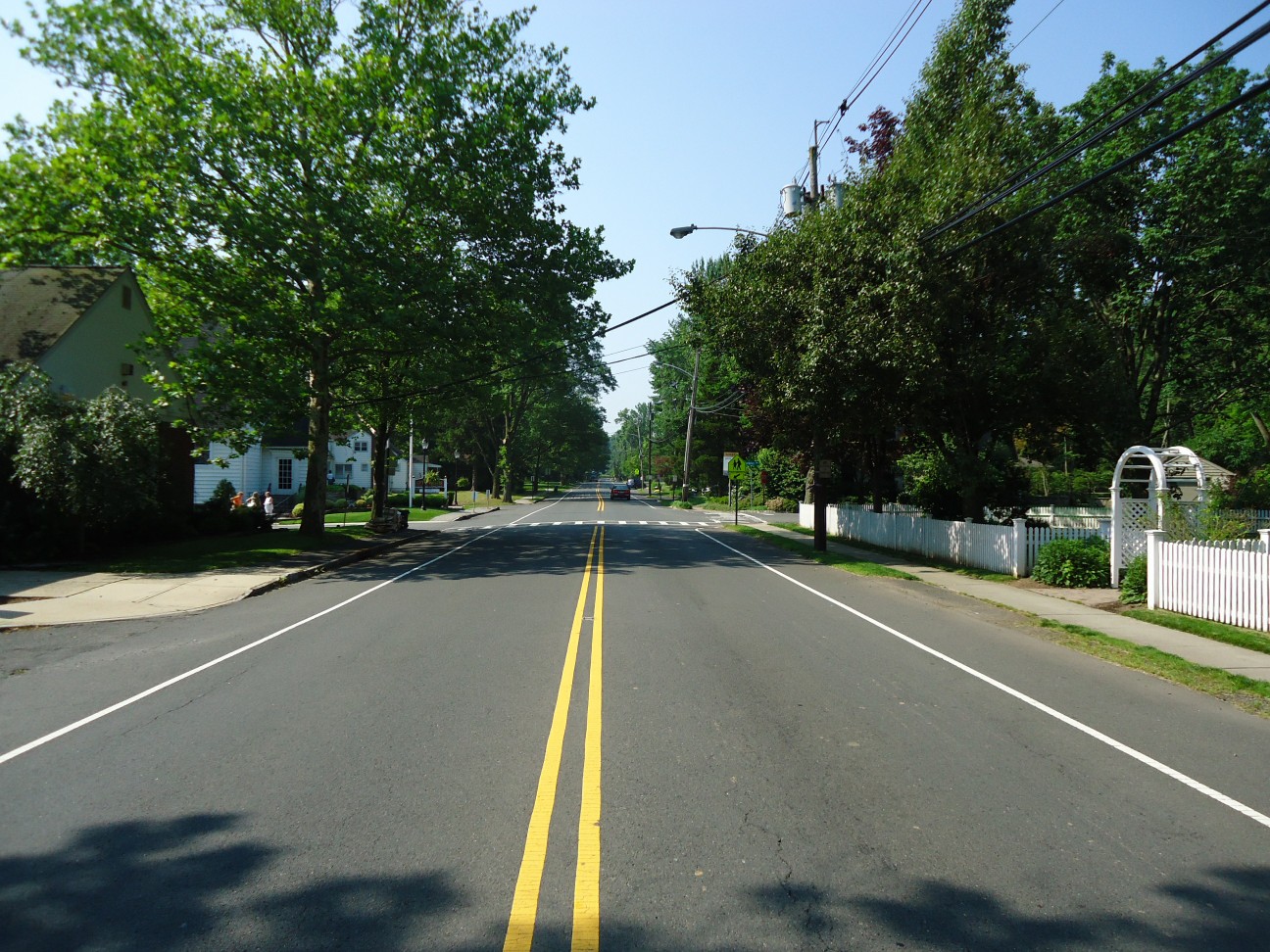 Tree-lined two-lane road with a street light and utility poles on a sunny day.