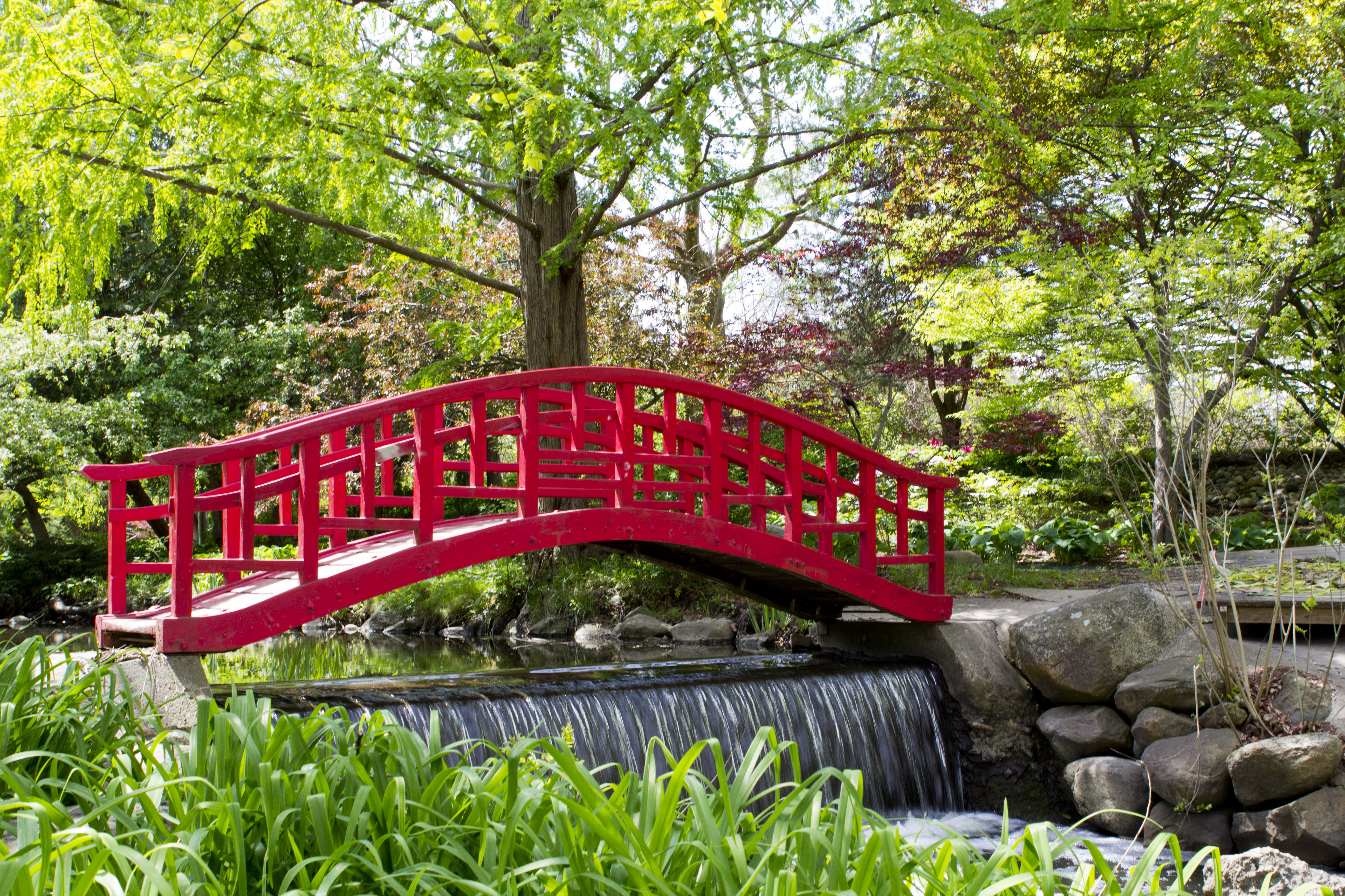 A red arched bridge spans a small waterfall in a lush Japanese garden.