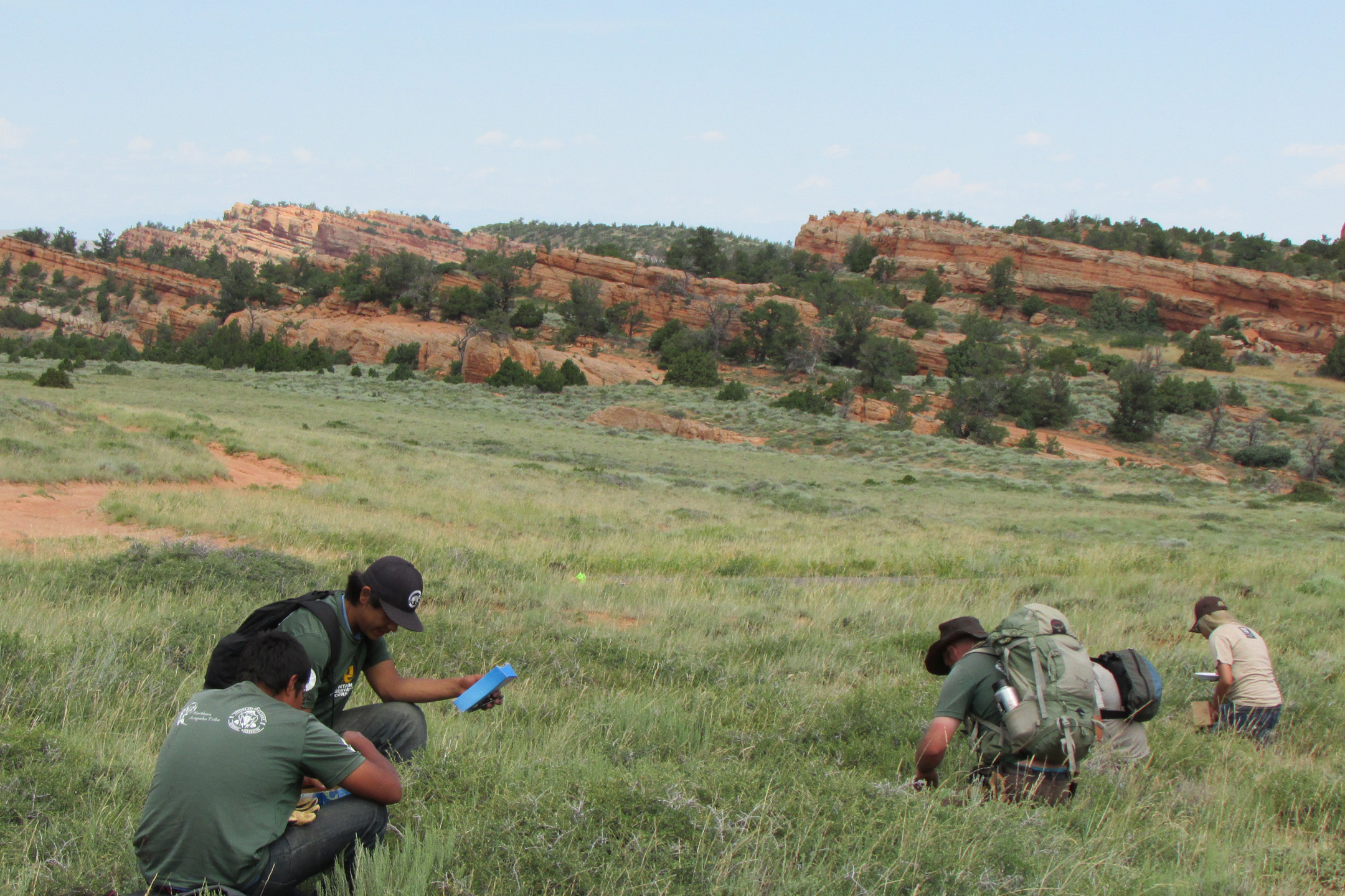 Young people crouch in a grassy field near red rock formations, examining vegetation.