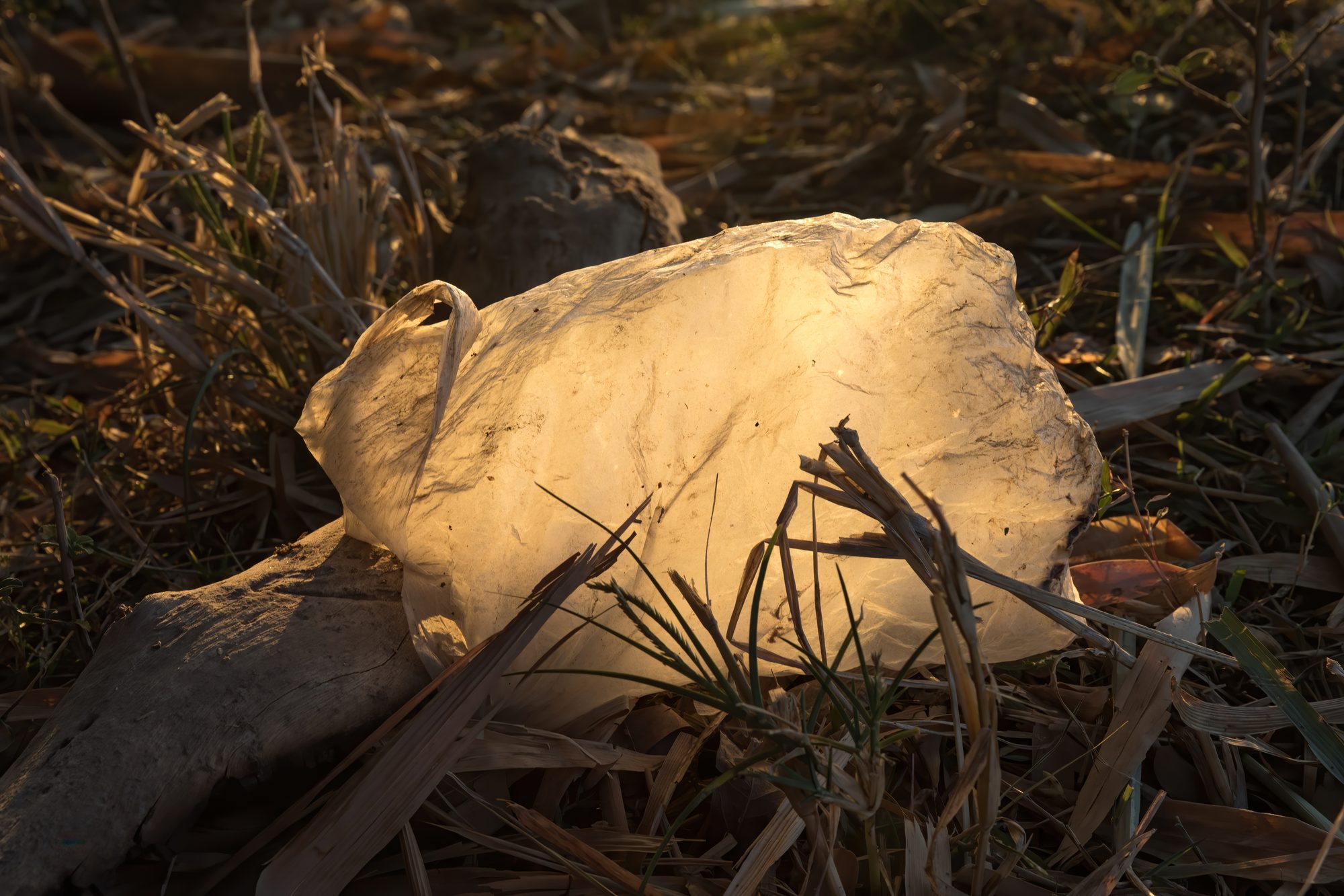 Contre-jour photograph of a plastic bag with sunlight shining through, at sunrise in the countryside of Laos. This photo aims to show that beautiful light can sometimes emerge from even the ugliest object. See American Beauty, plastic bag scene (2).