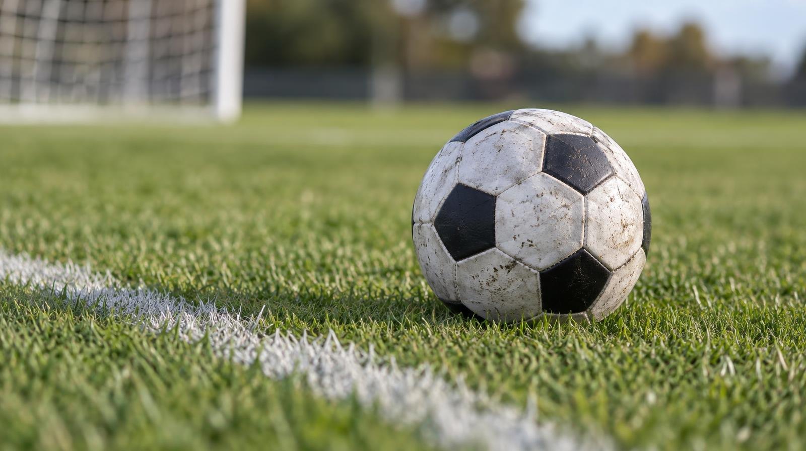 A soccer ball resting on green grass near a white painted line.