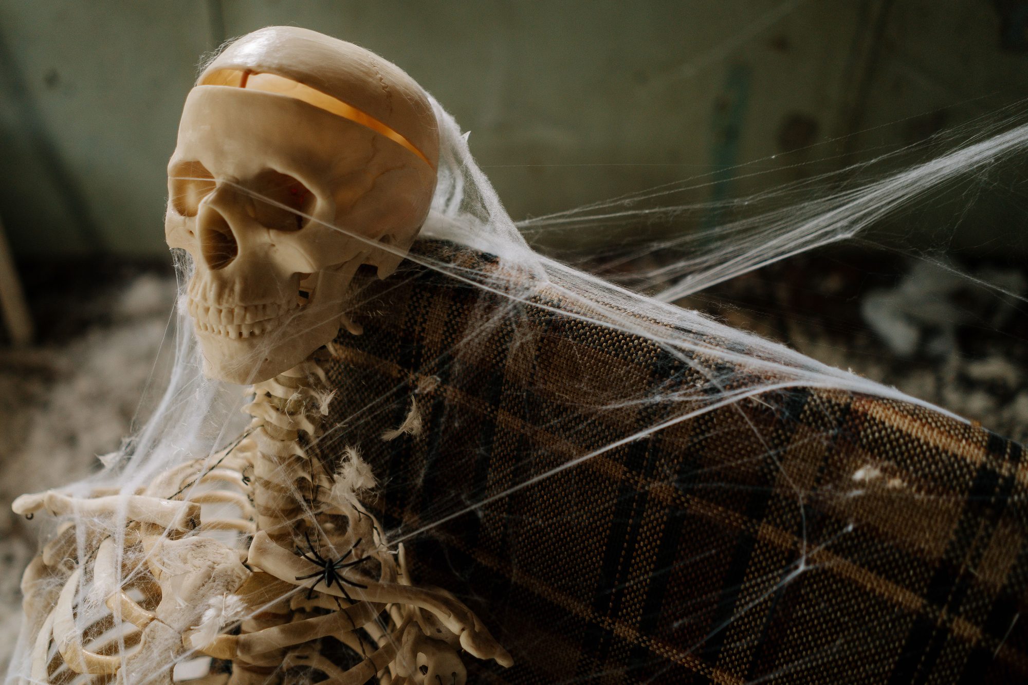 A decorative skeleton sits against a patterned chair, draped in artificial cobwebs with a black spider on its chest.