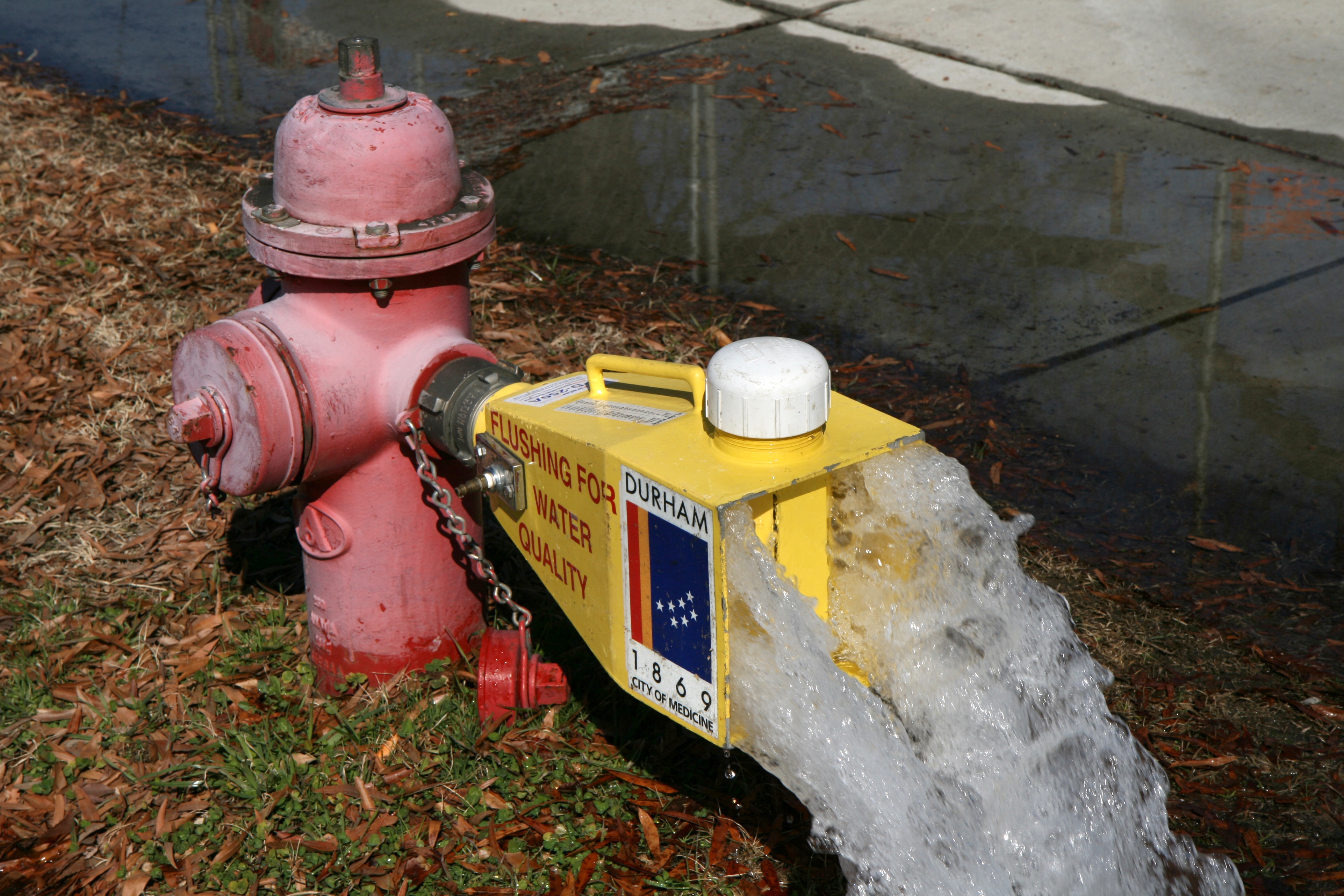 A pink fire hydrant with a yellow diffuser spraying water onto a sidewalk.