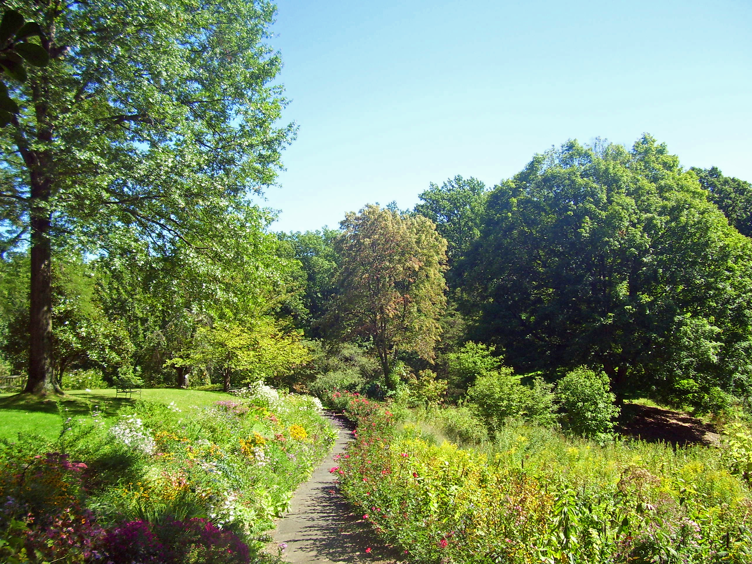 Garden path lined with colorful wildflowers and tall trees at an arboretum.