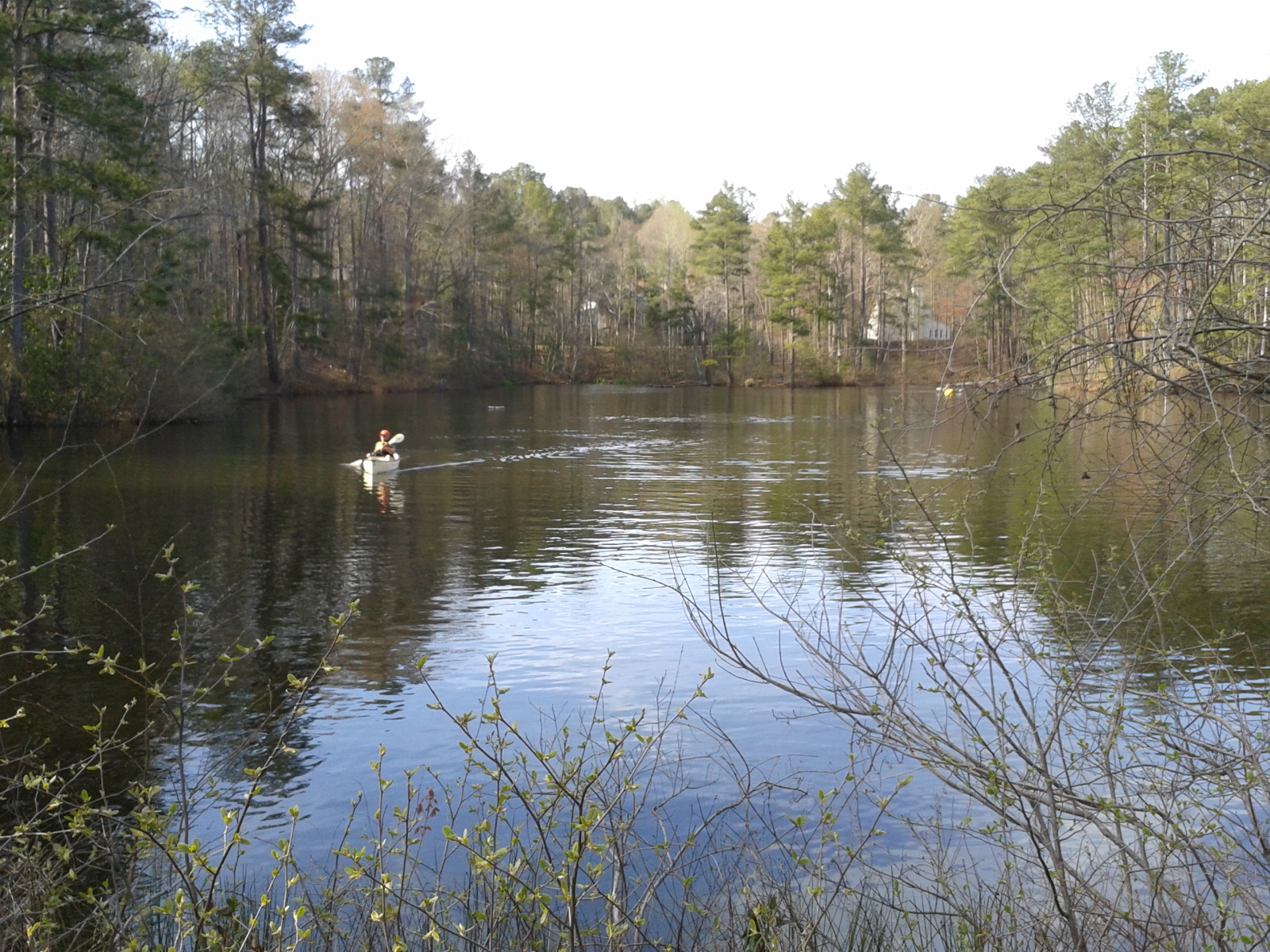 A lone paddler on a calm, tree-lined waterway in Georgia.