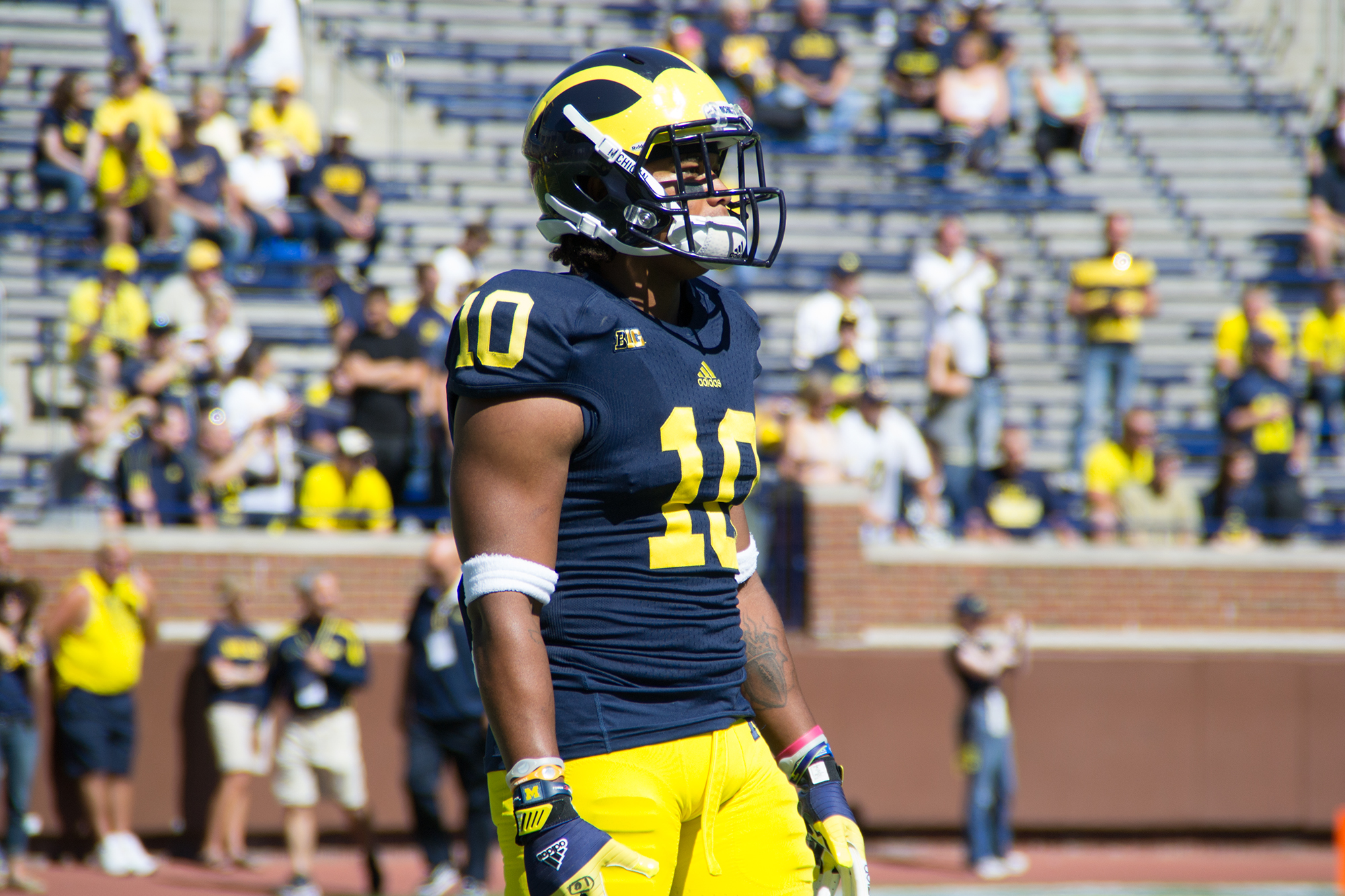 Football player in navy and maize uniform standing on a field with stadium crowd behind.