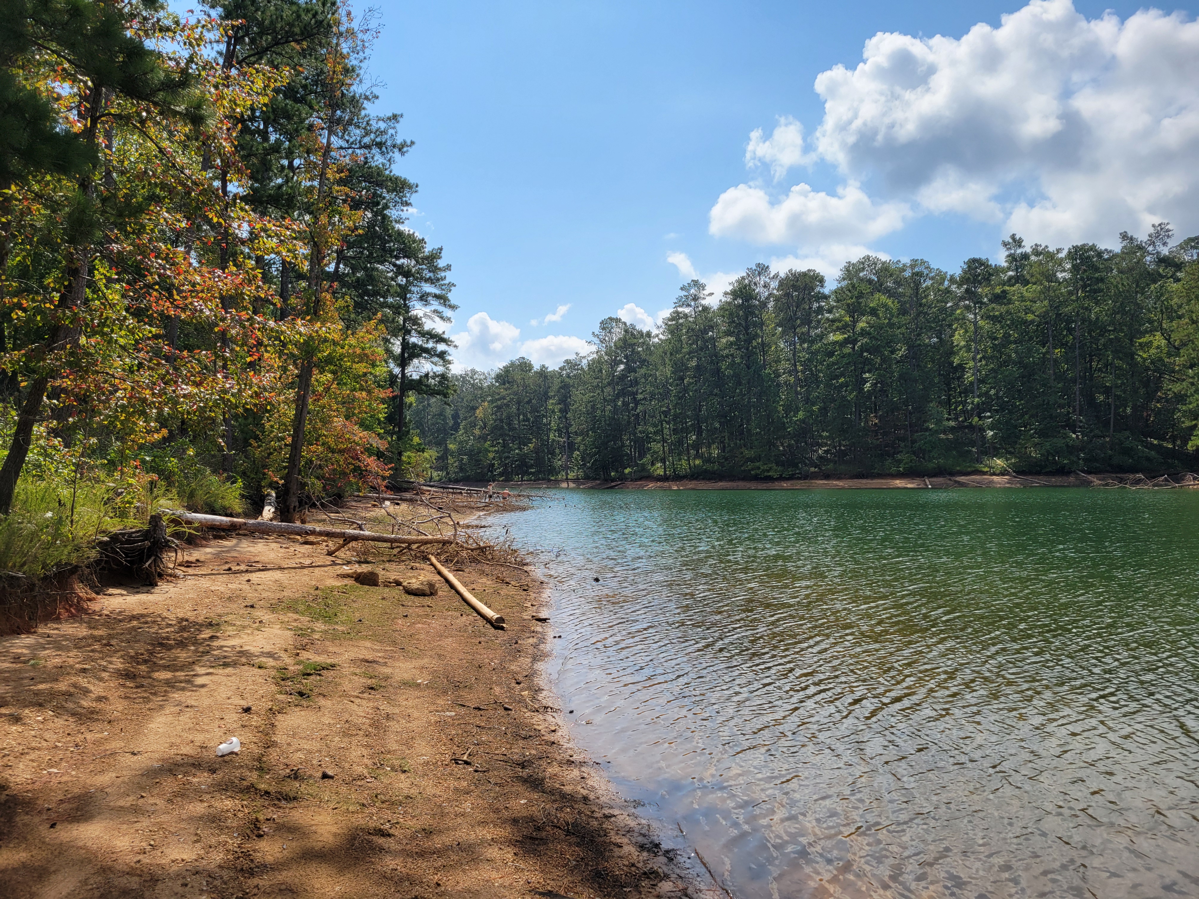Sandy shoreline along a calm lake surrounded by dense forest under a partly cloudy sky.