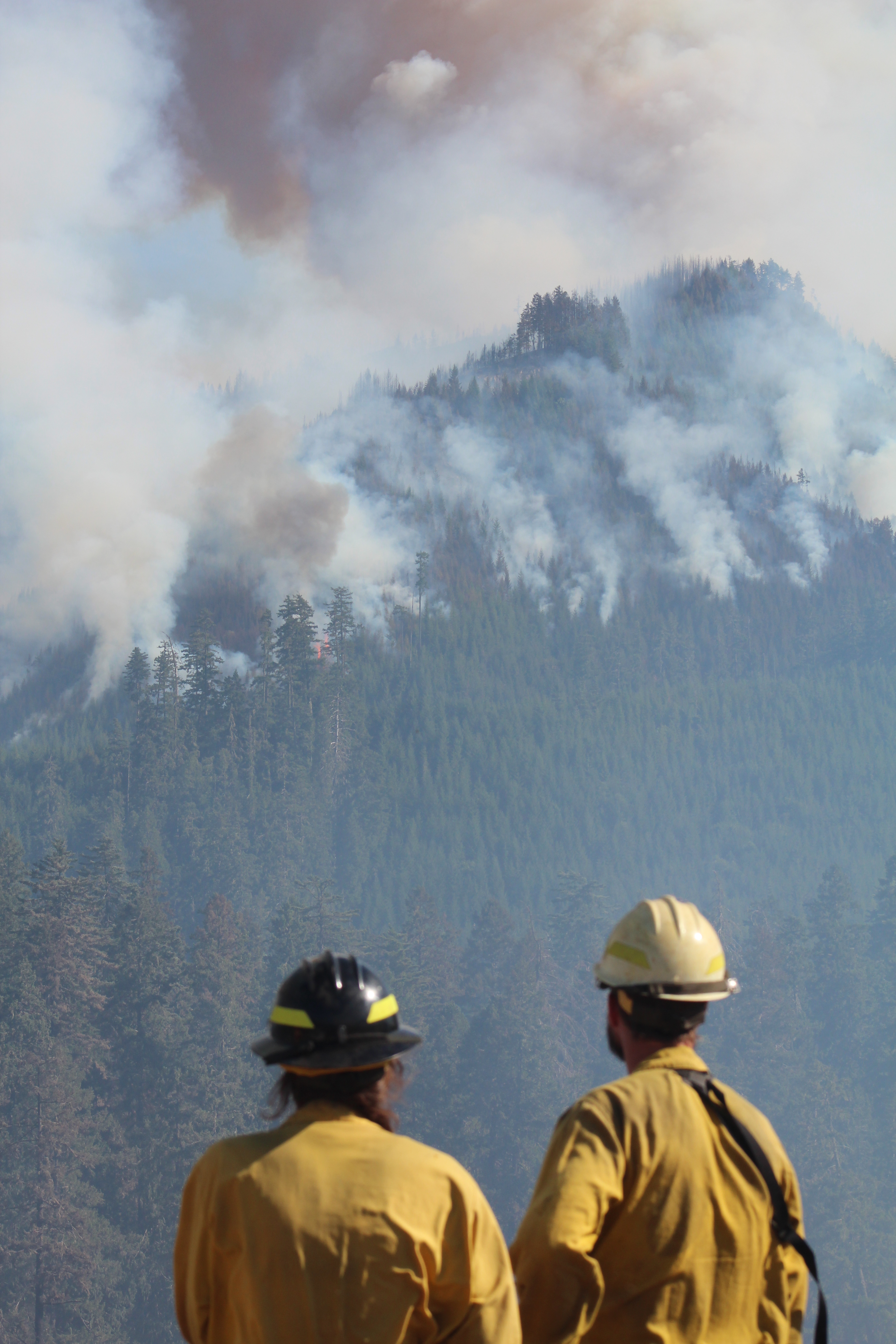 Two firefighters in yellow shirts watch smoke rising from a forested mountain slope.