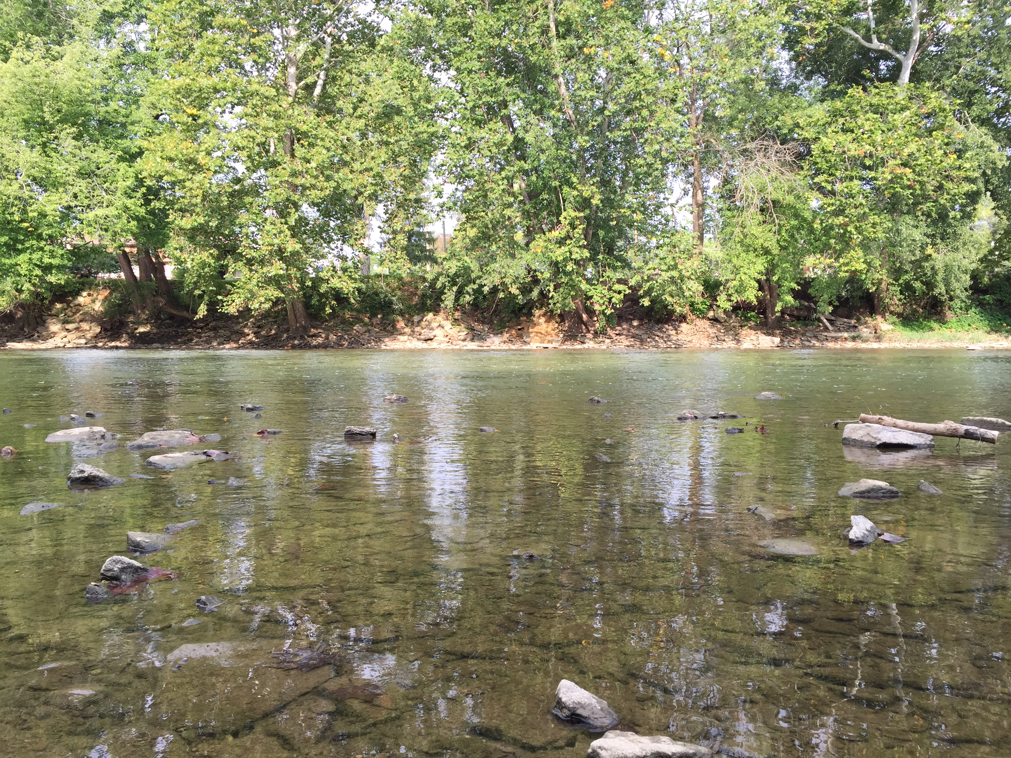 Shallow, rocky stretch of the Little Miami River lined with dense green trees.