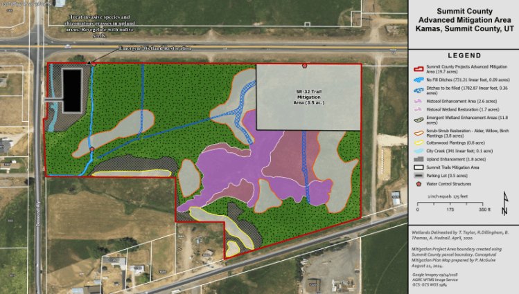 Color-coded aerial GIS map showing a wetland mitigation area with a red boundary outline.