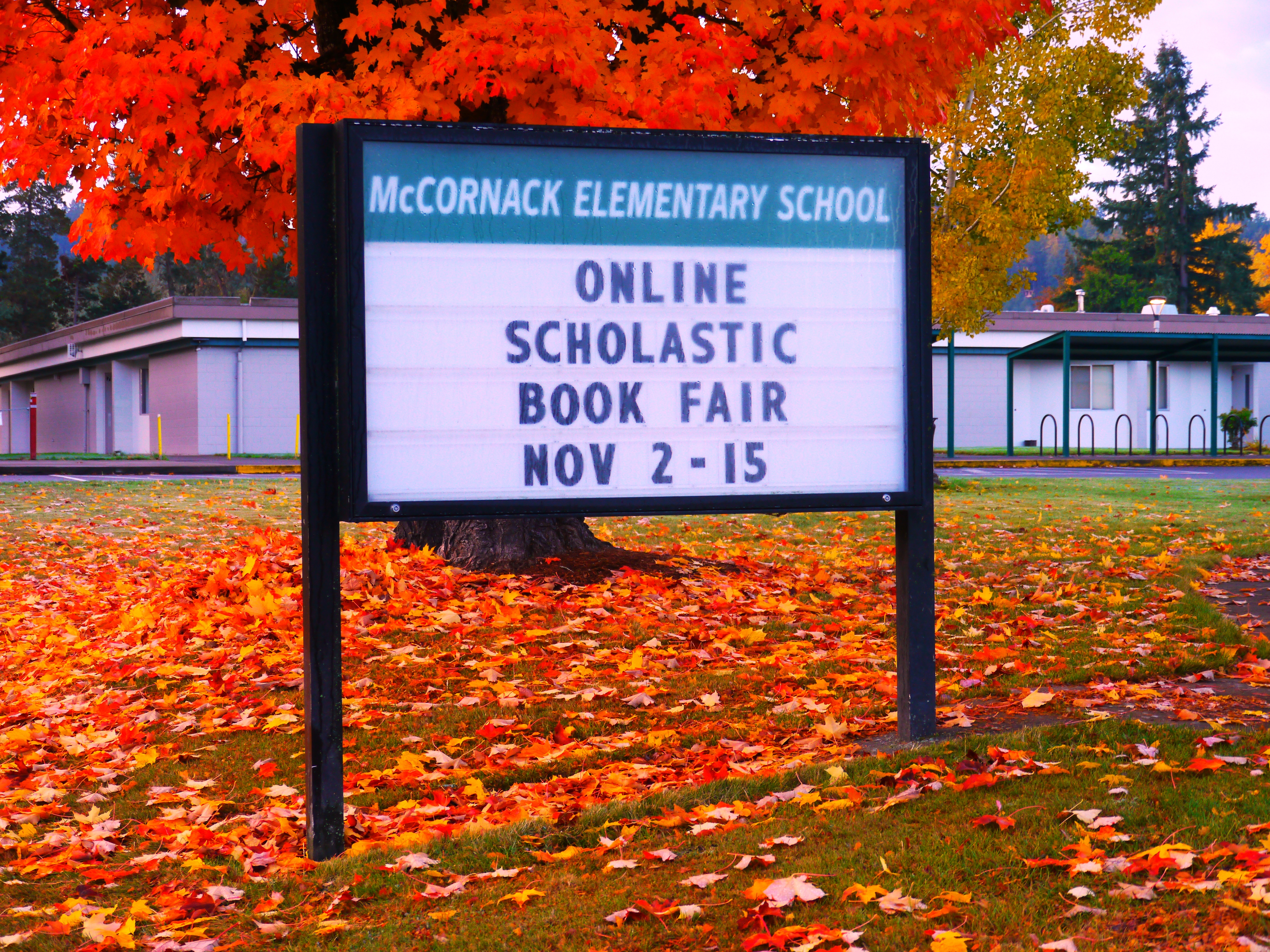 School marquee sign advertising a Scholastic Book Fair surrounded by autumn leaves.