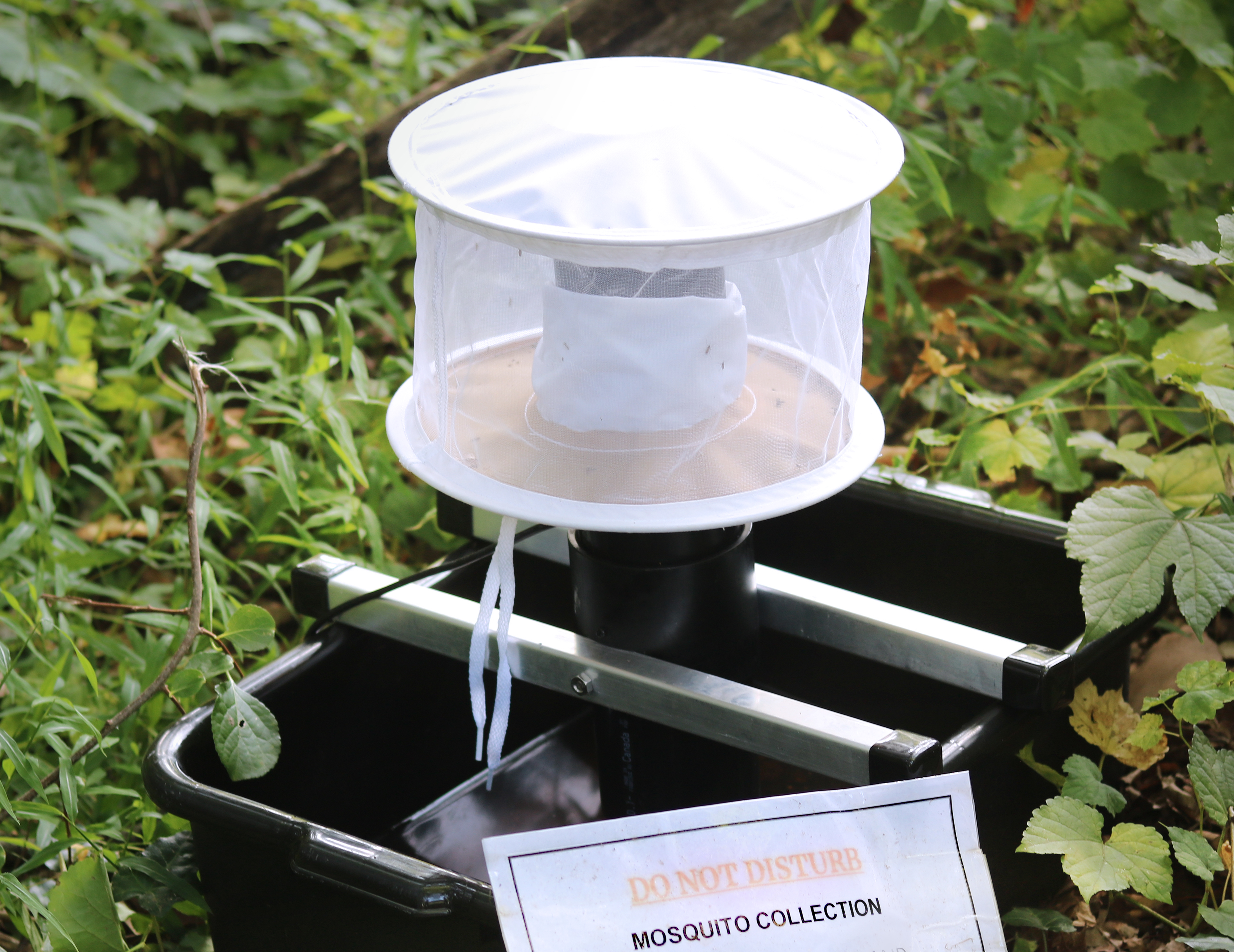 White CDC Gravid mosquito trap with a warning sign set outdoors among vegetation.