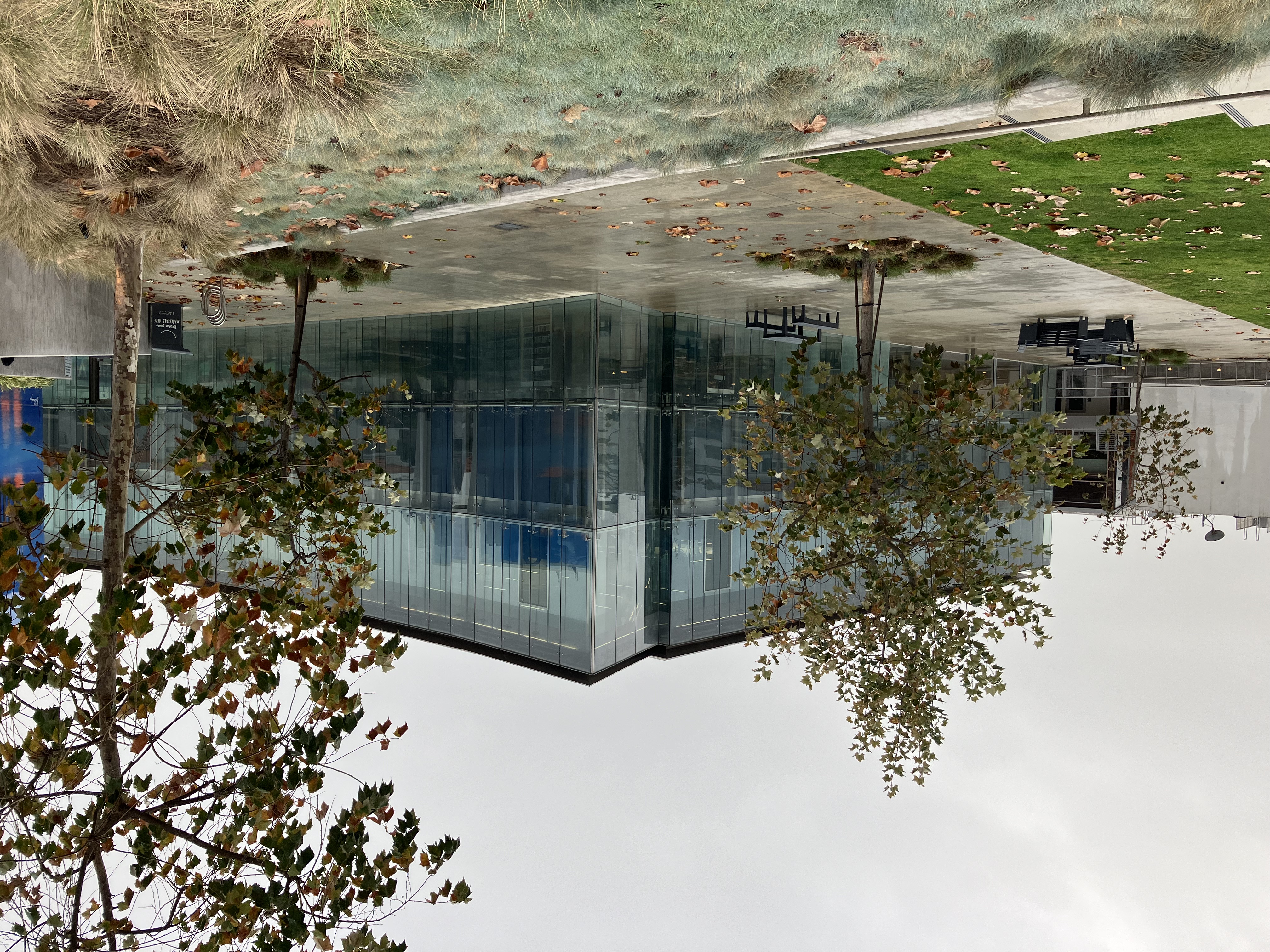 Modern glass-walled library building with small trees and outdoor benches.