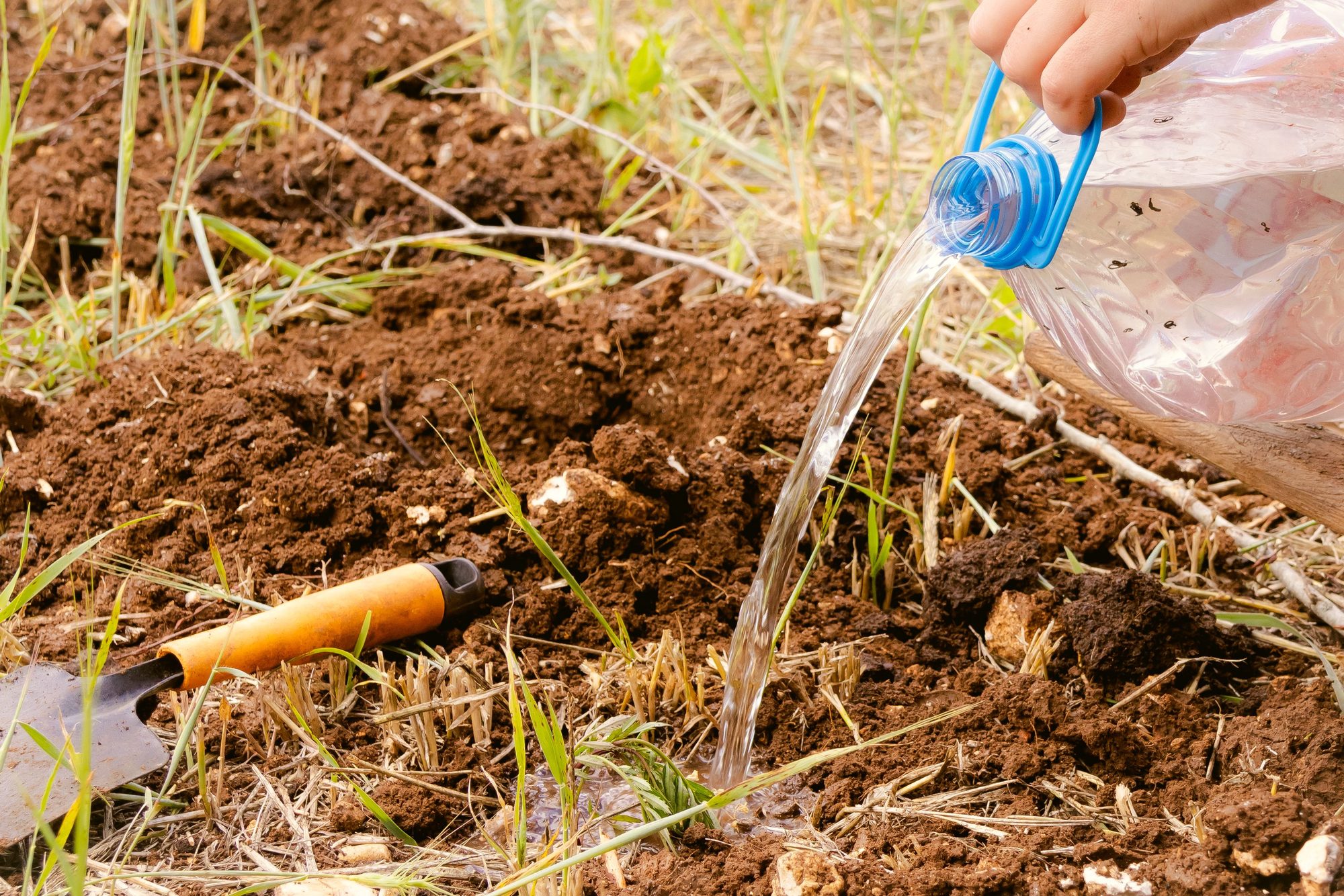 A hand using a plastic bottle to water soil in a garden setting, indicating sustainable gardening practices.