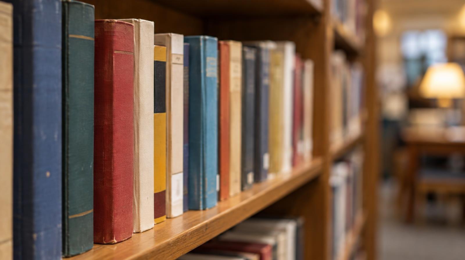 Colorful hardcover and paperback books upright on a wooden library shelf.