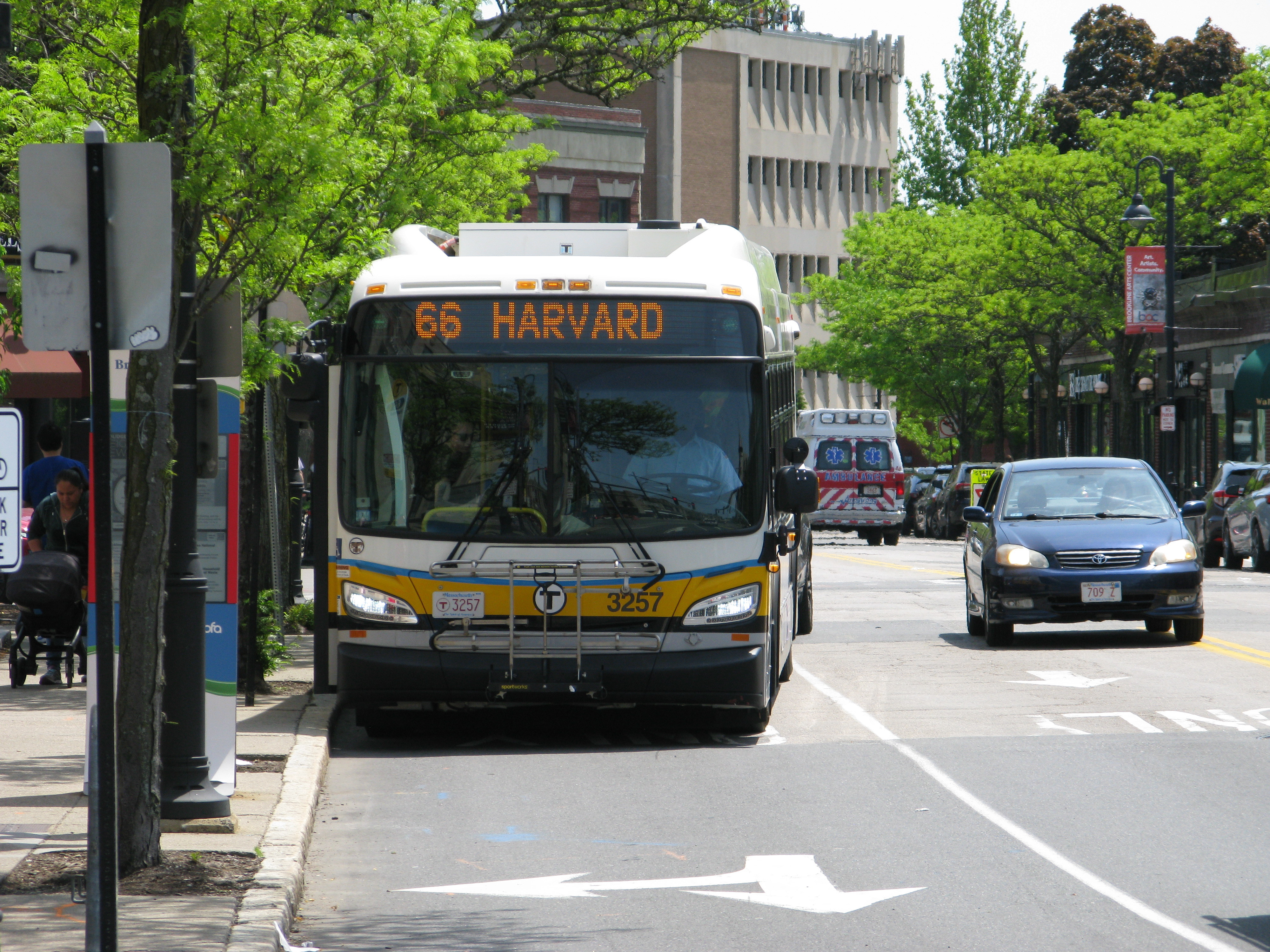 An MBTA bus travels along a tree-lined street in Coolidge Corner.