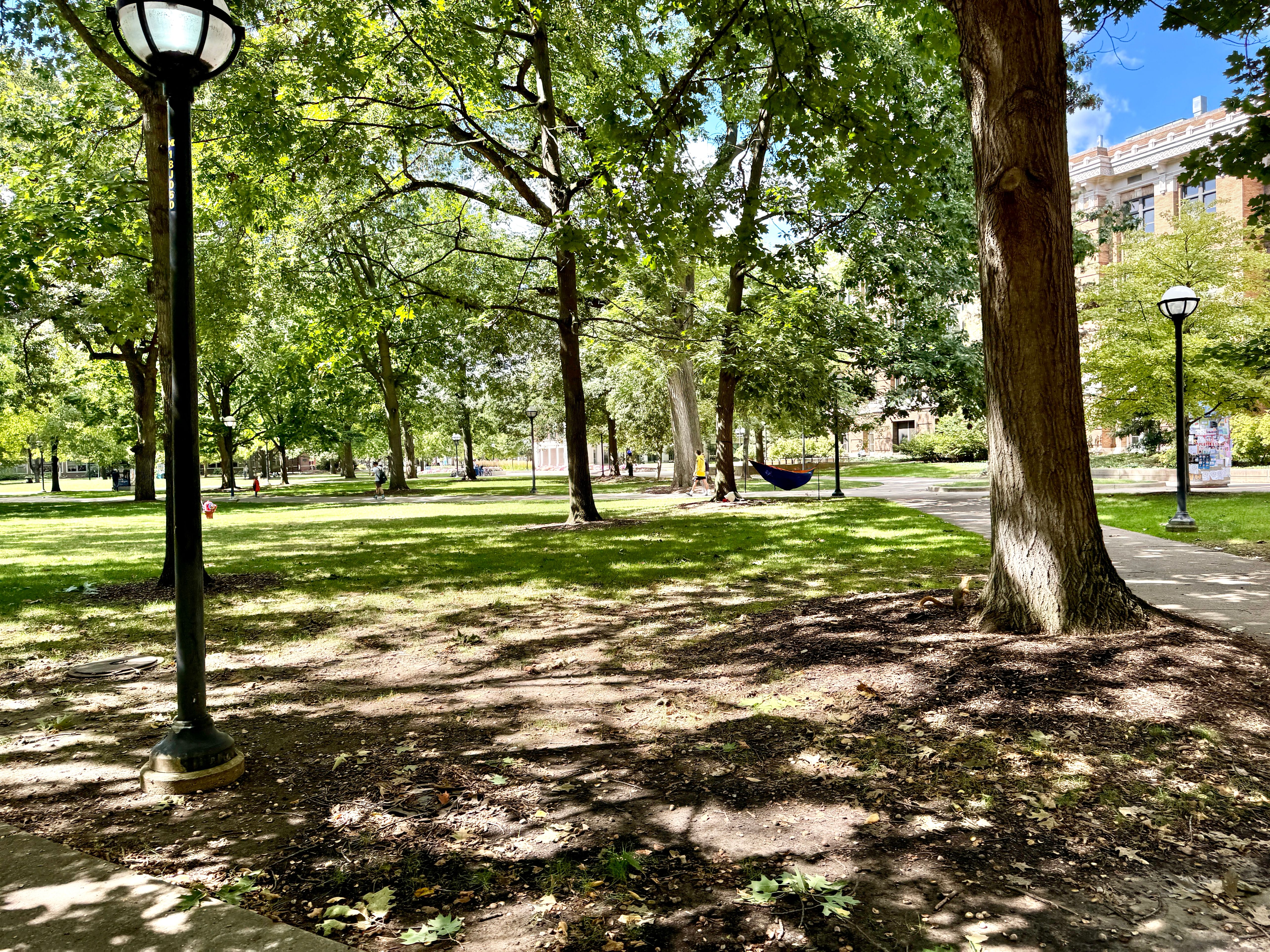 Tree-lined university campus quad with lamp posts, a hammock, and a brick building visible through the trees.