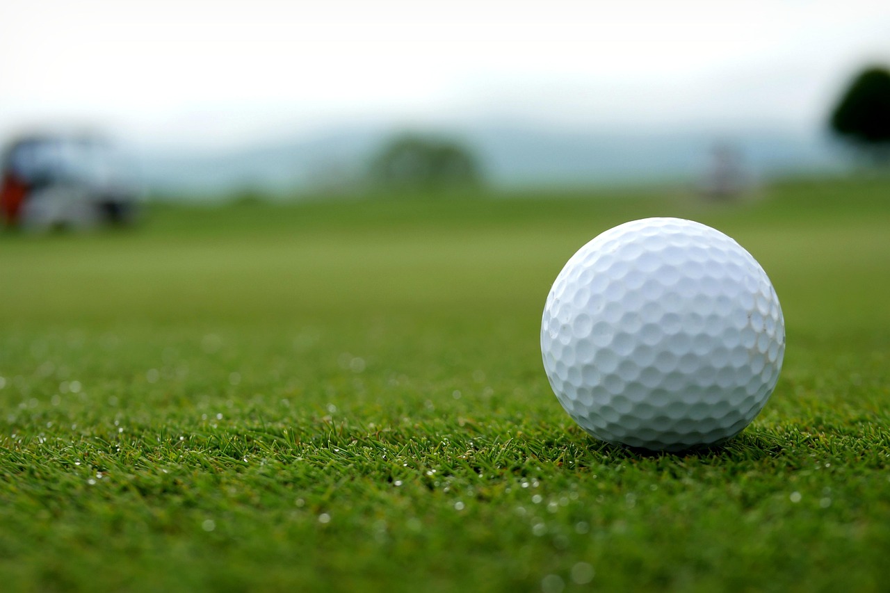 Golf, golf cart, golf ball, ball, golfing, put, putting, greens, club, golf club, course, strokes, holes, tee box, fairw