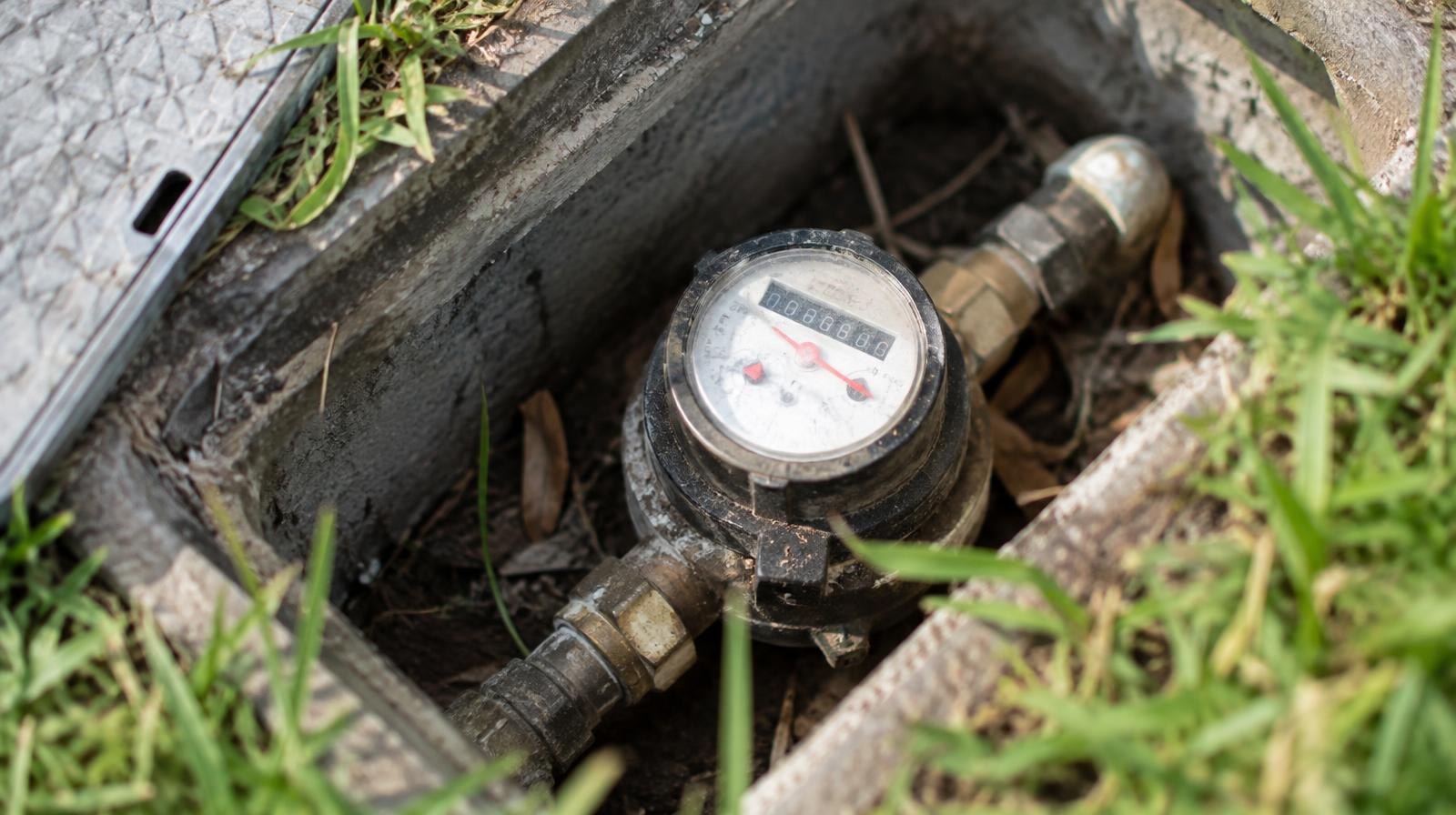 Close-up of a residential water meter in a concrete box embedded in grass.