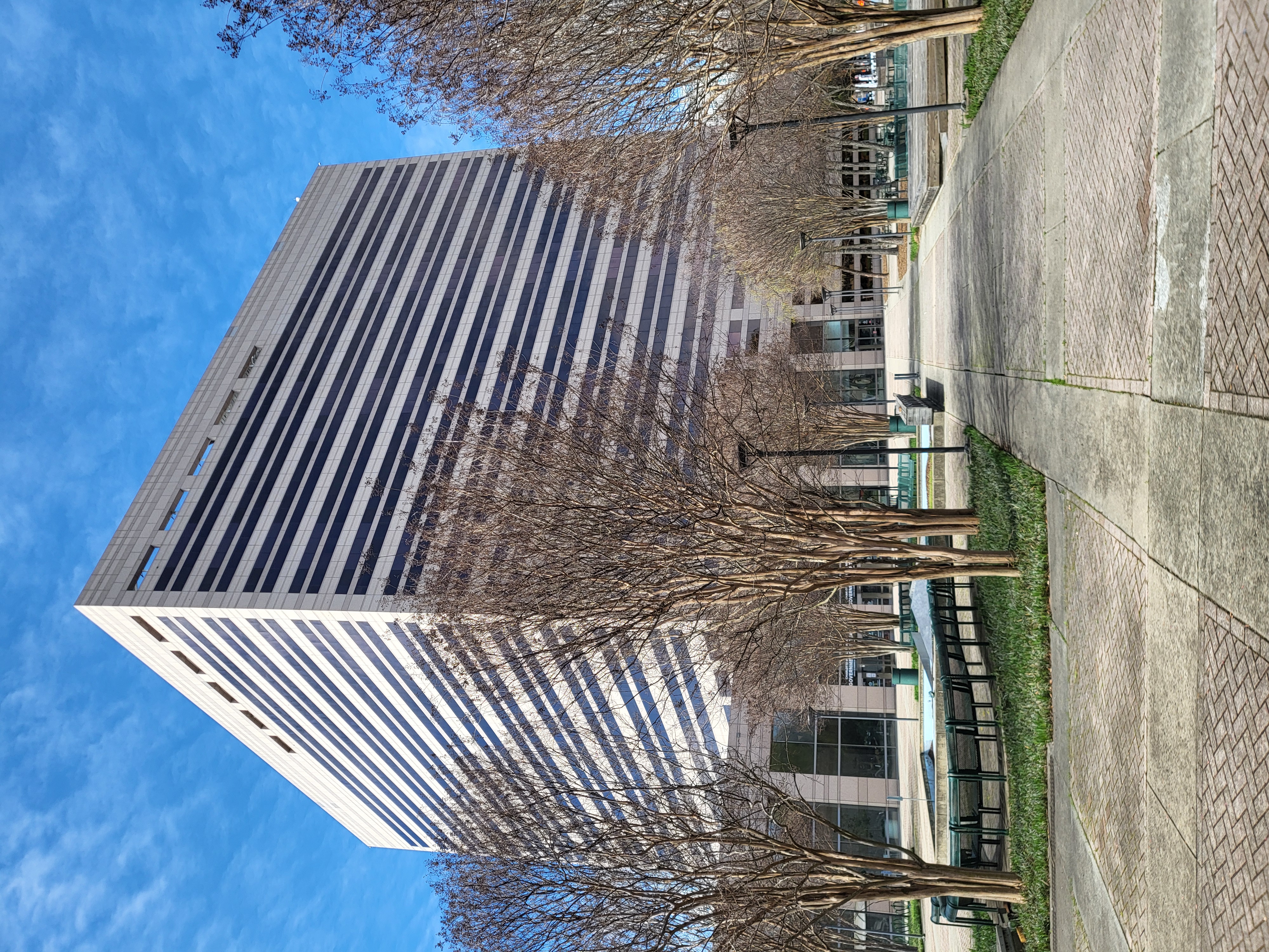 Modern office tower with horizontal banded windows and a paved pedestrian plaza lined with bare trees.
