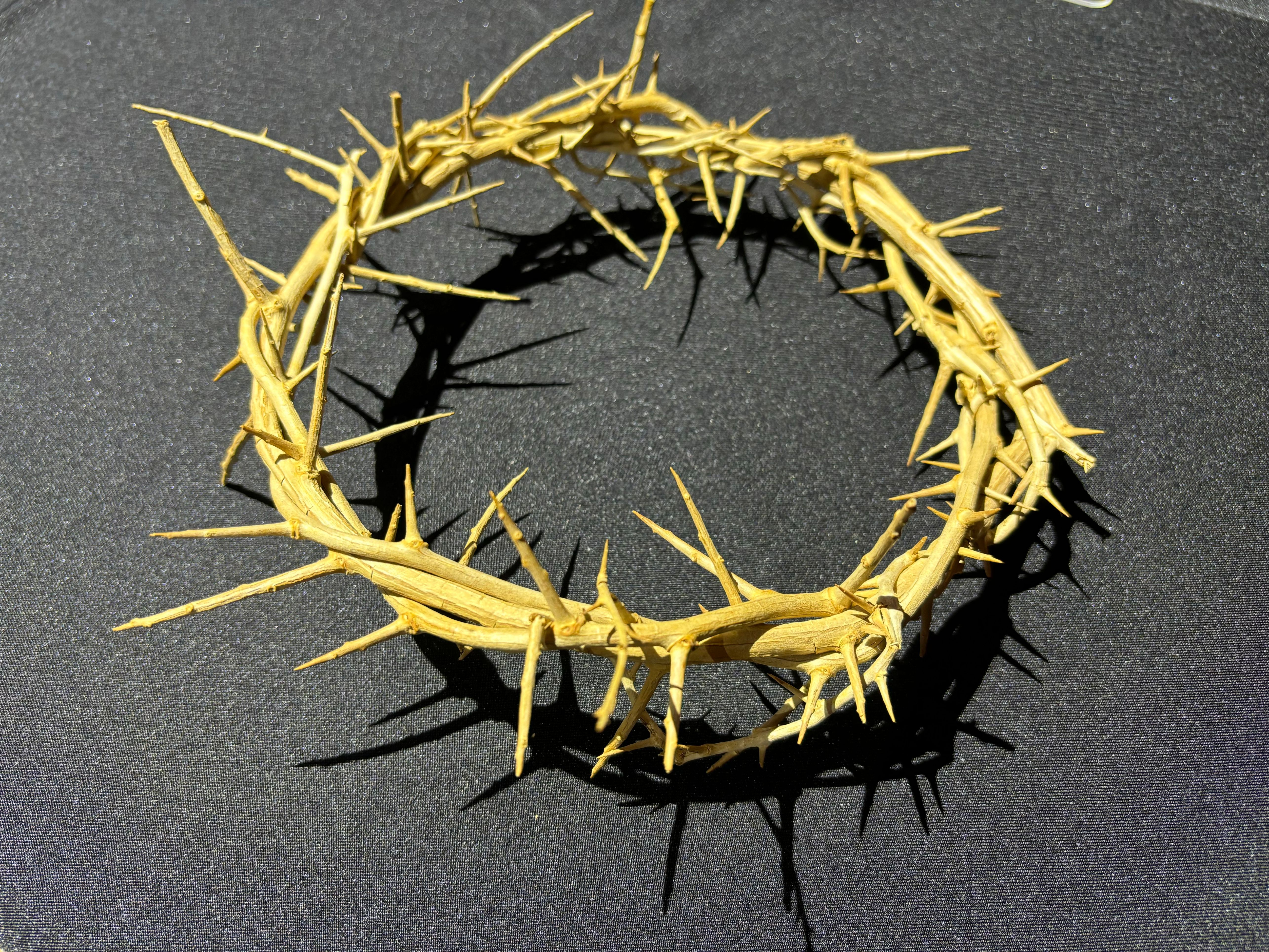 A woven crown of thorns made from dried branches resting on a dark surface.