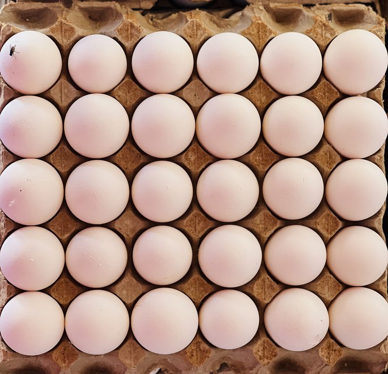 This is an image with the theme "Farm to Plate" from:
