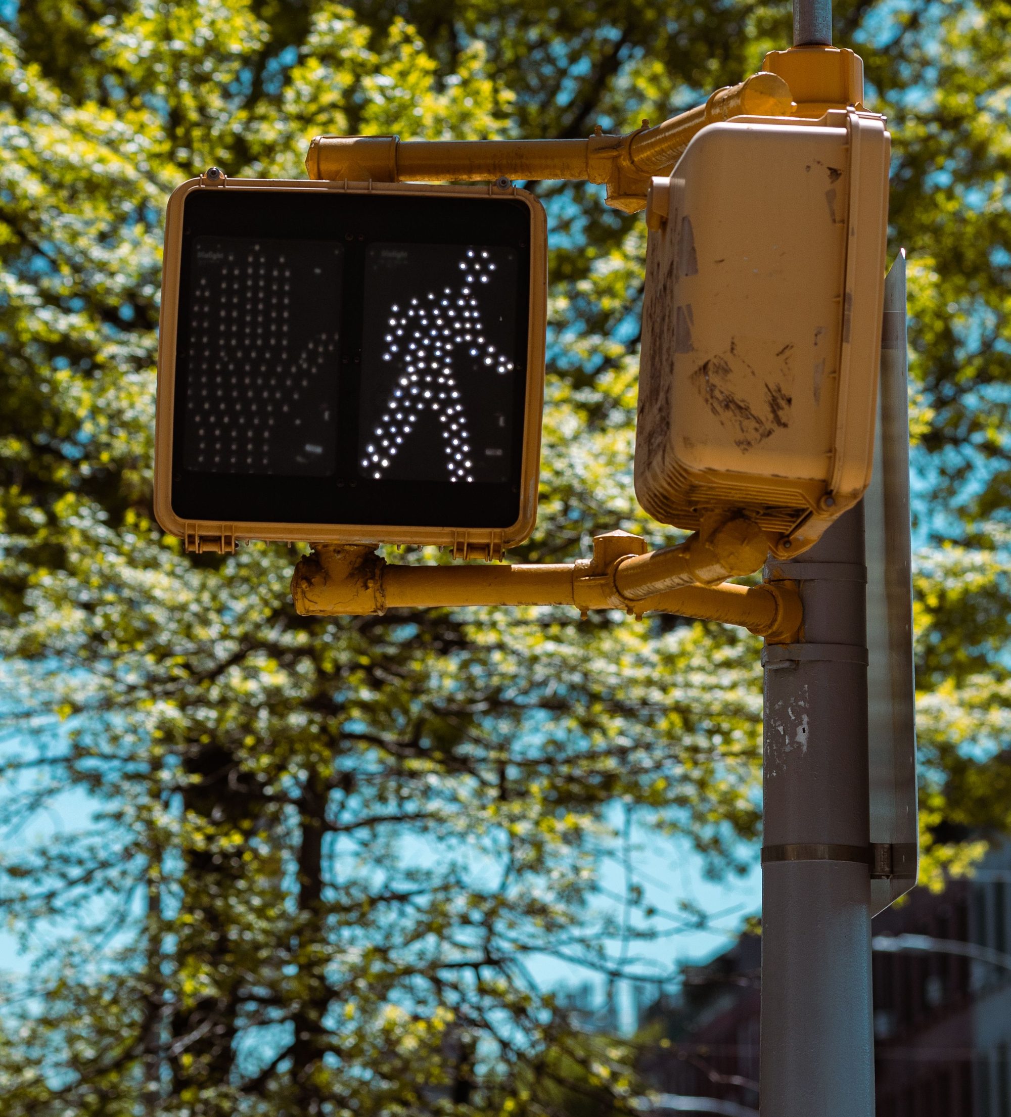 Close-up of a pedestrian crossing signal with green trees in the background.