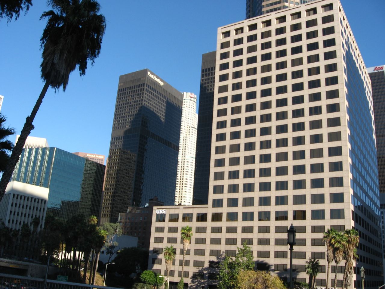 Downtown Los Angeles skyline with tall office buildings and palm trees.