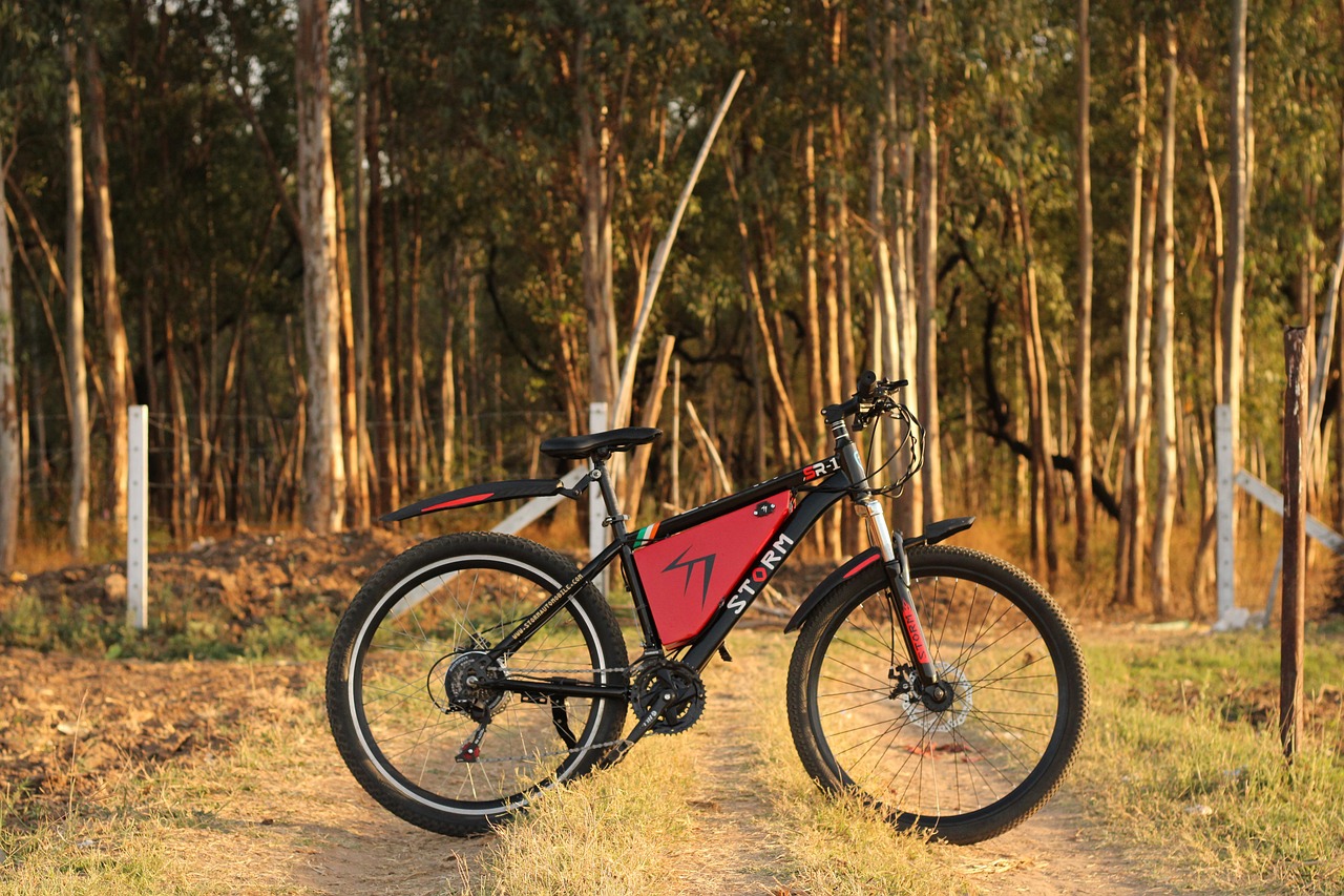 An electric bike.
