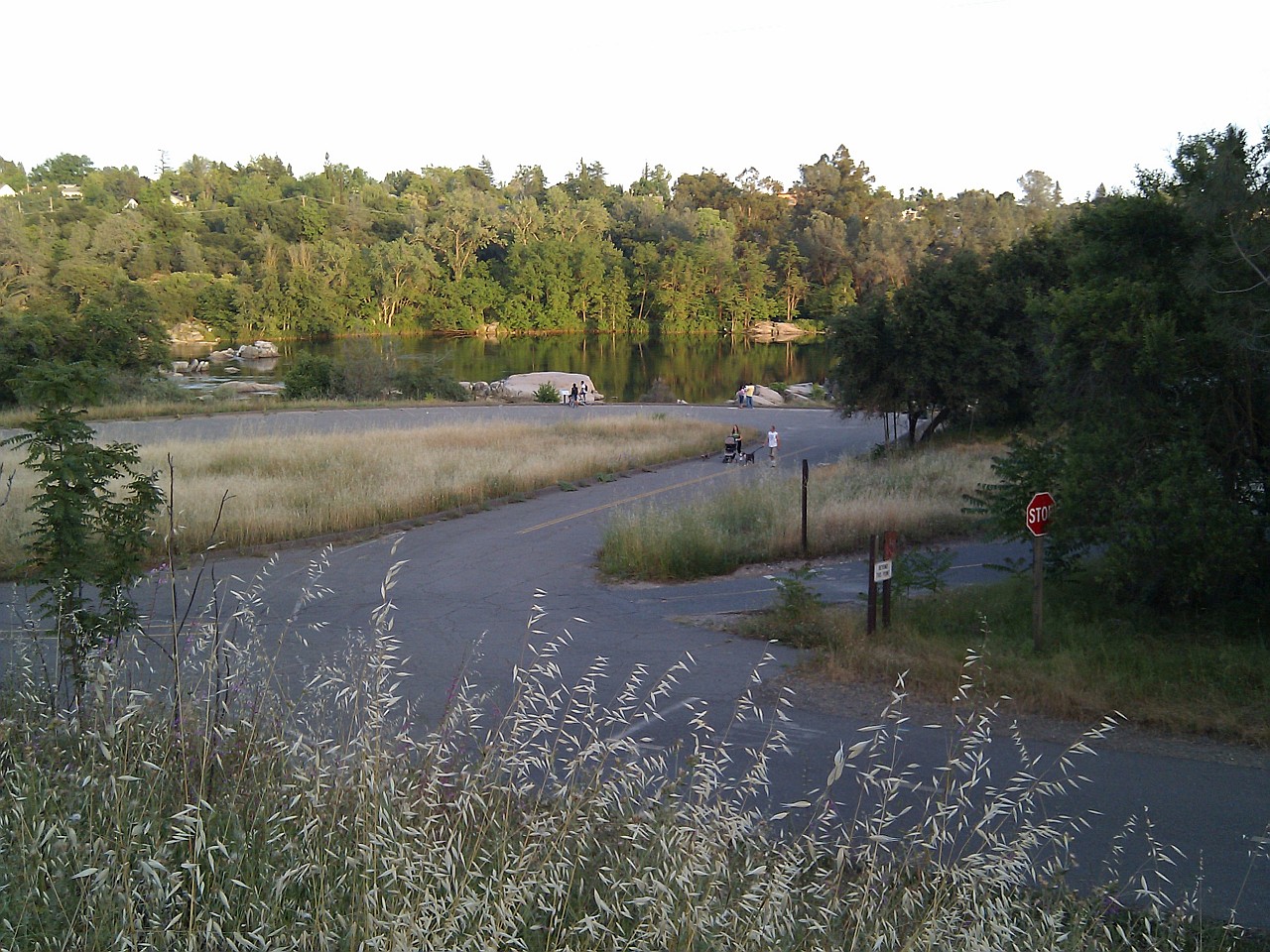 Paved multi-use trail beside a lake with dry grasses and trees lining the path.