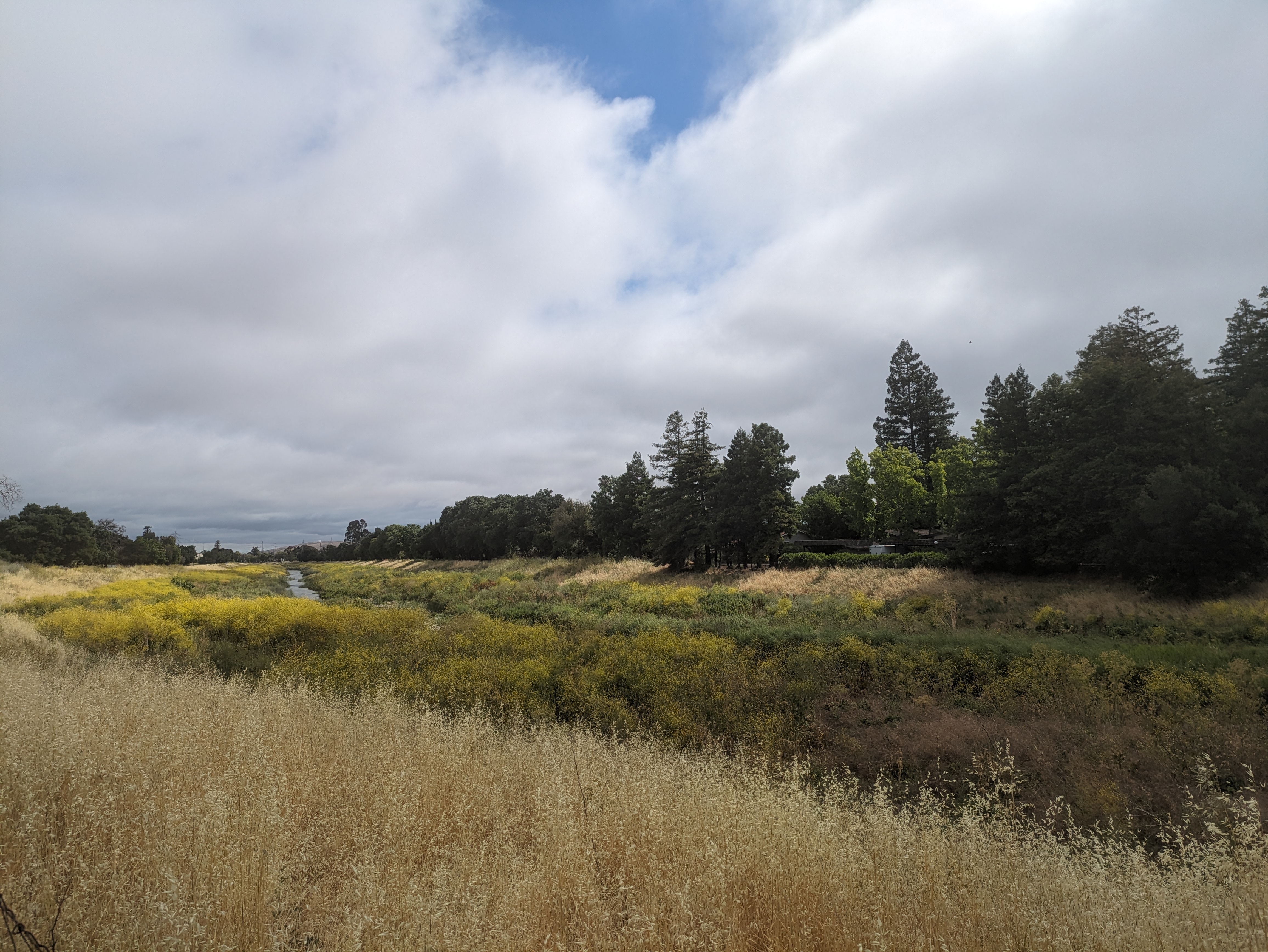 Open grassland meadow and creek corridor along a regional trail under a partly cloudy sky.