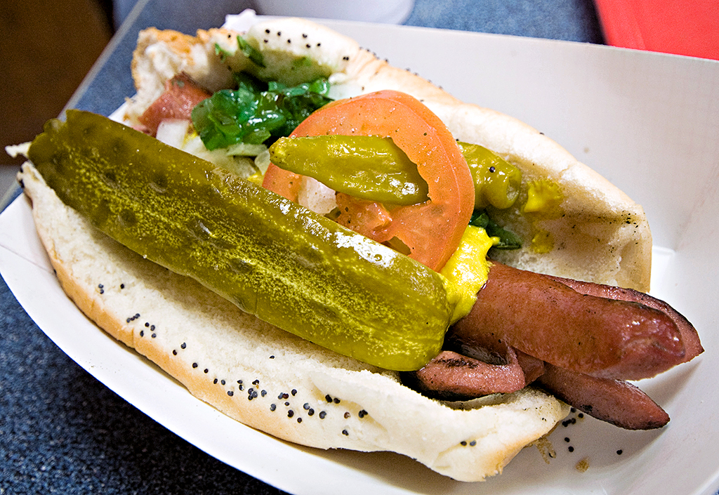 Chicago style hot dog