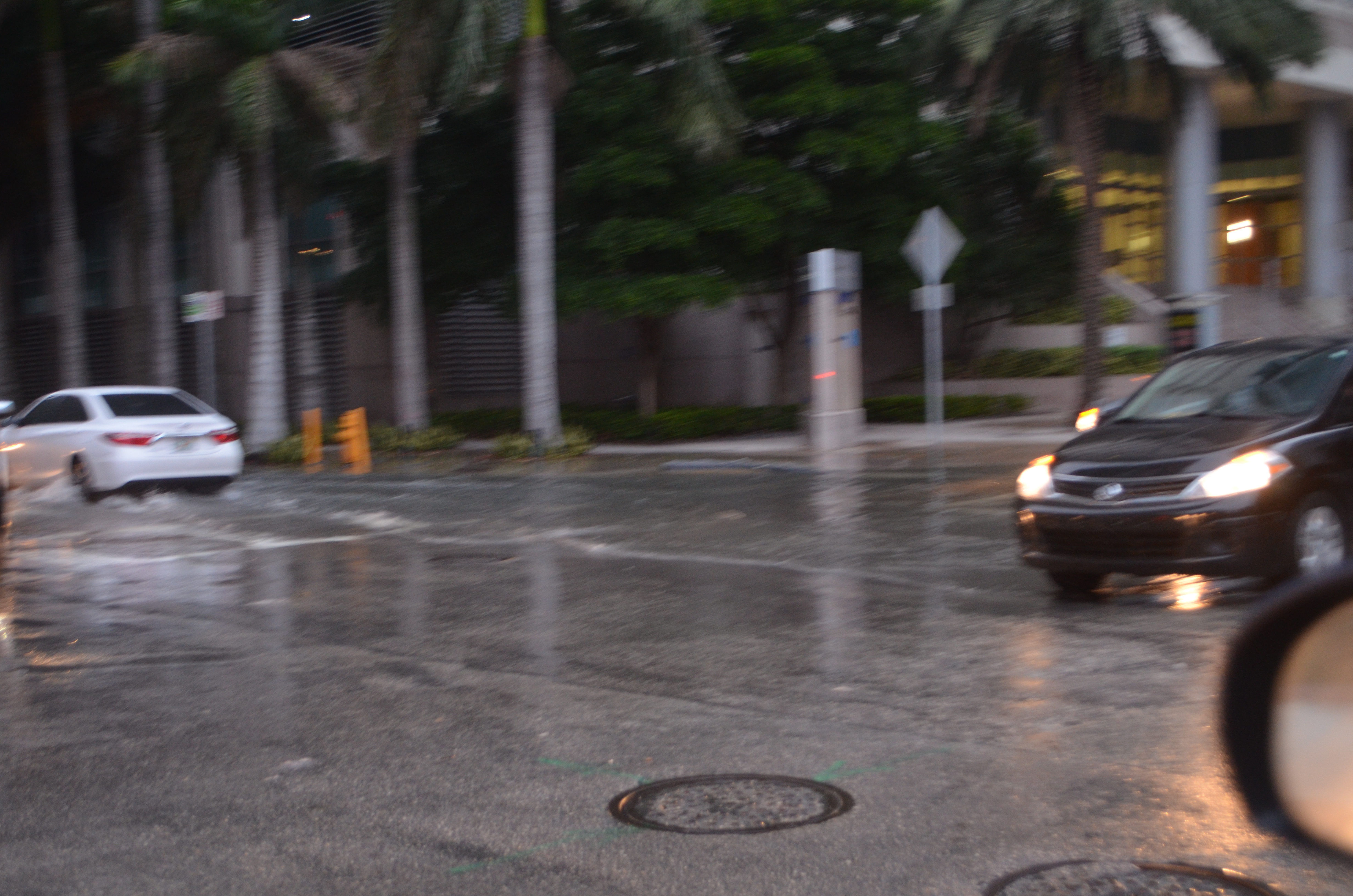 Two cars drive through a flooded urban intersection with palm trees in the background.