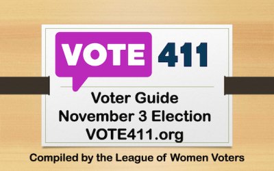 Graphic showing the VOTE411 logo and text reading Voter Guide November 3 Election.