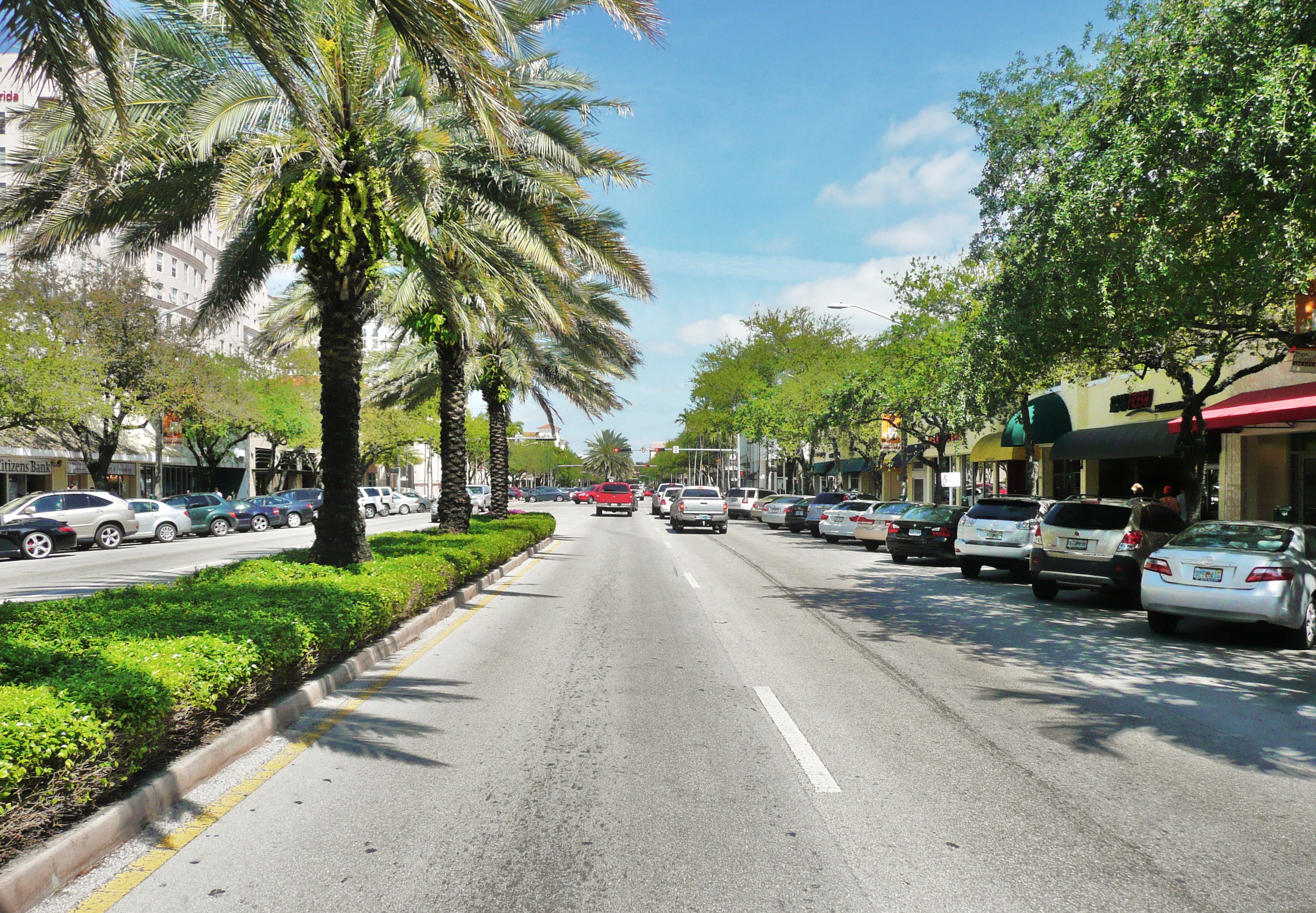 Wide palm-tree-lined boulevard with parked cars and retail storefronts.