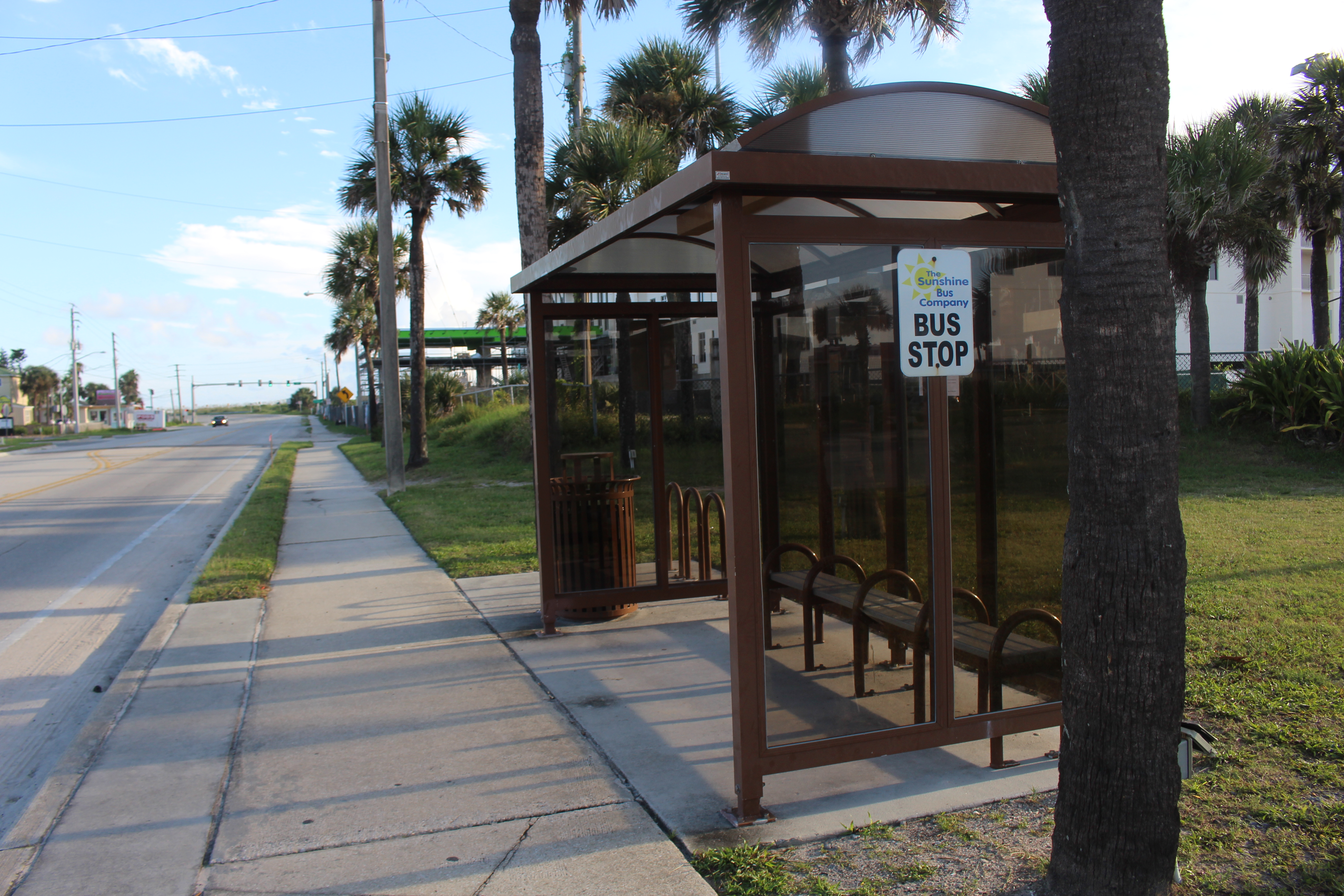 Covered bus stop shelter with benches beside a palm-lined coastal highway.