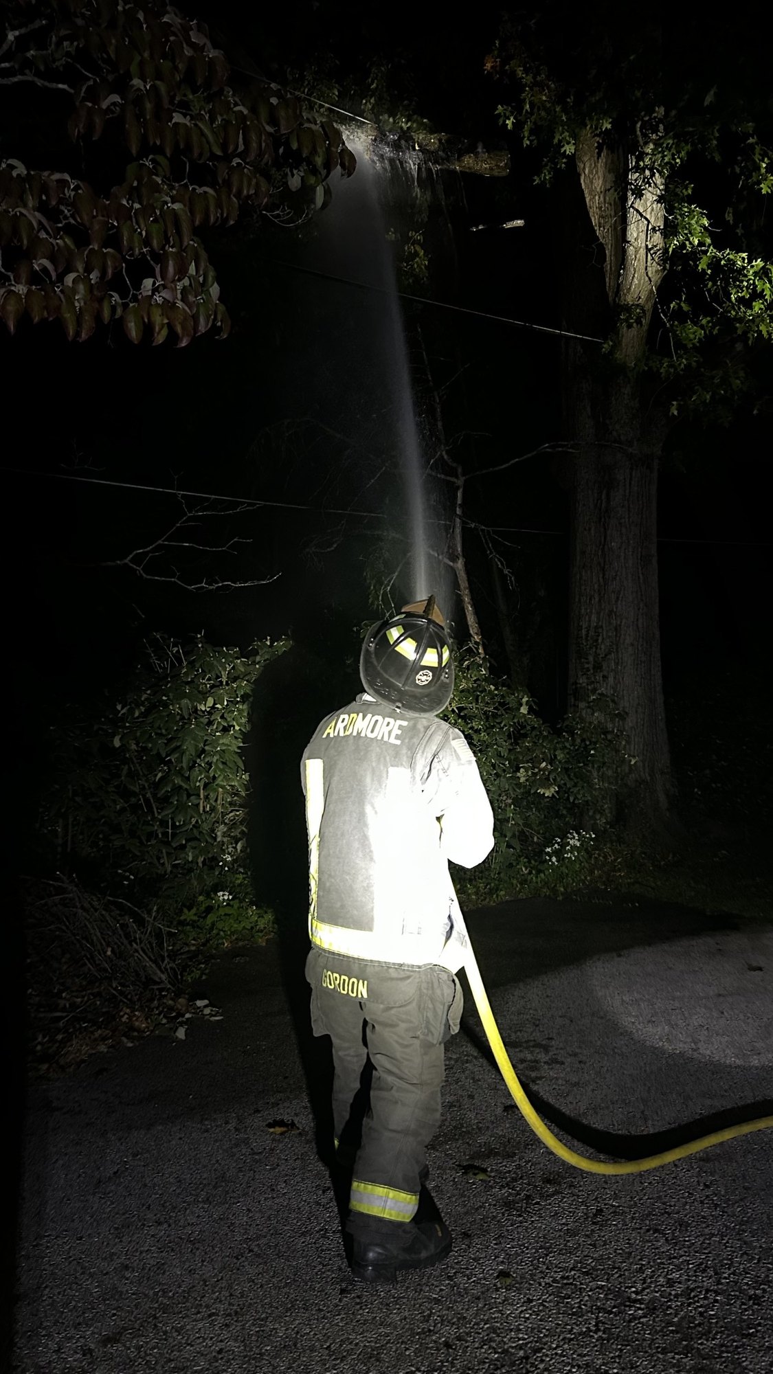 Firefighter in turnout gear spraying water upward into a tree at night.