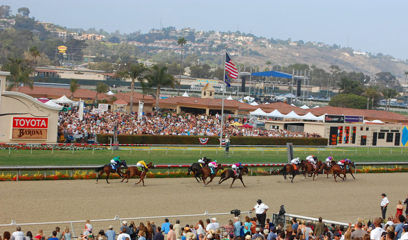A field of horses and jockeys racing around a turn at Del Mar Racetrack with packed grandstands.