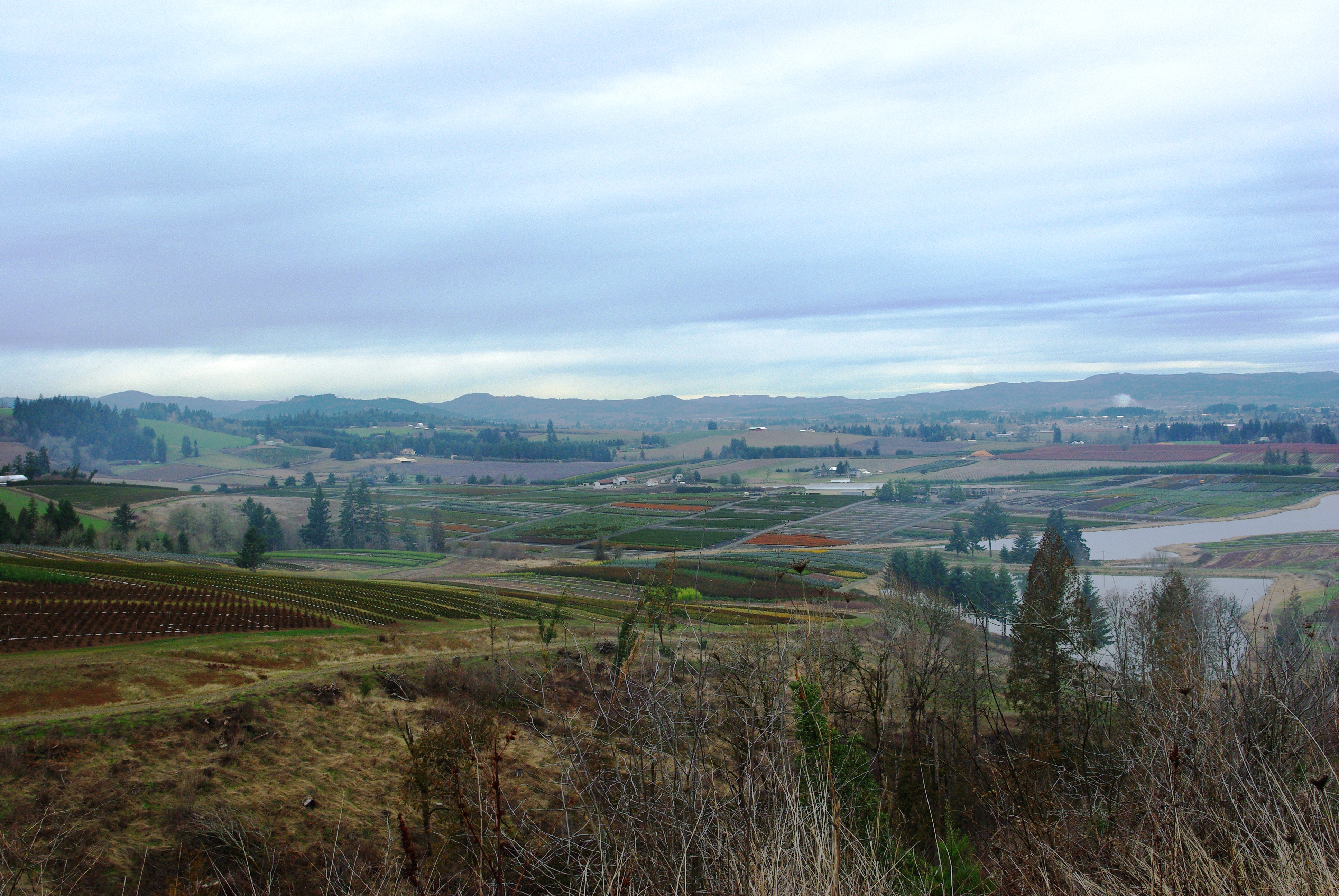 Wide rural valley with rows of nursery plants and agricultural fields under an overcast sky.