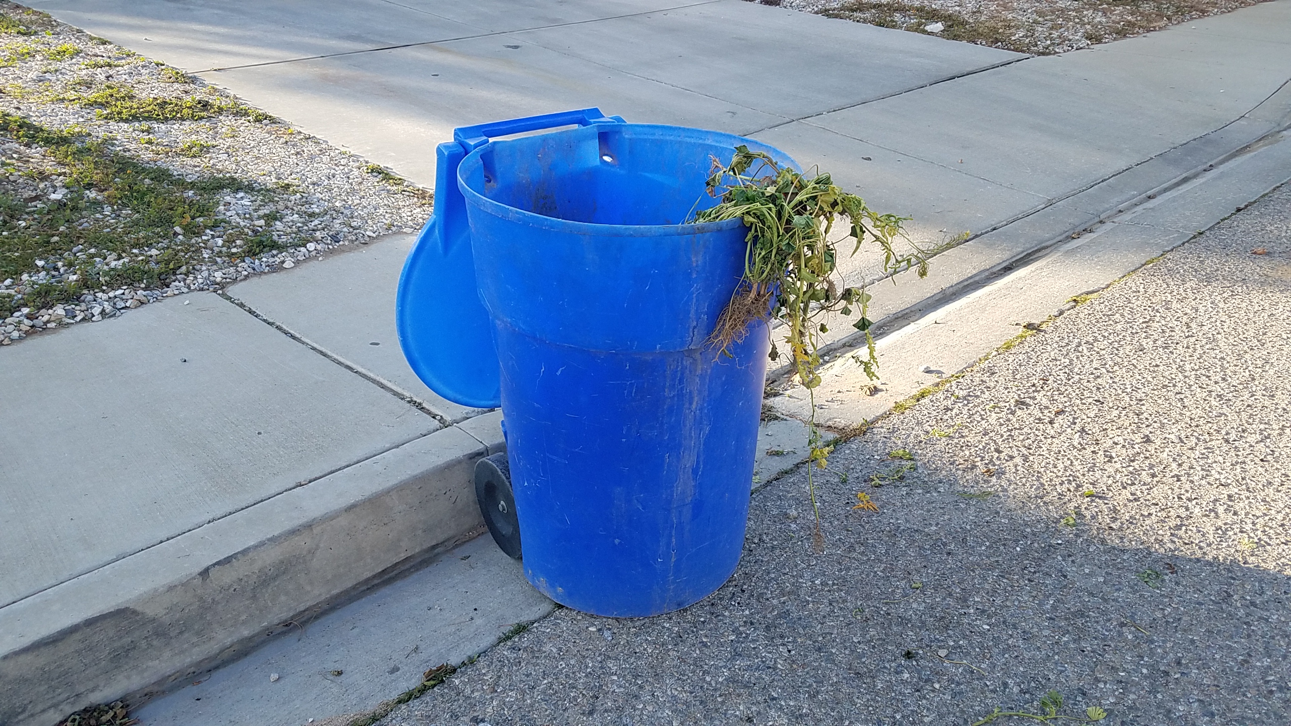 Blue wheeled trash cart with open lid sitting at a residential curb.