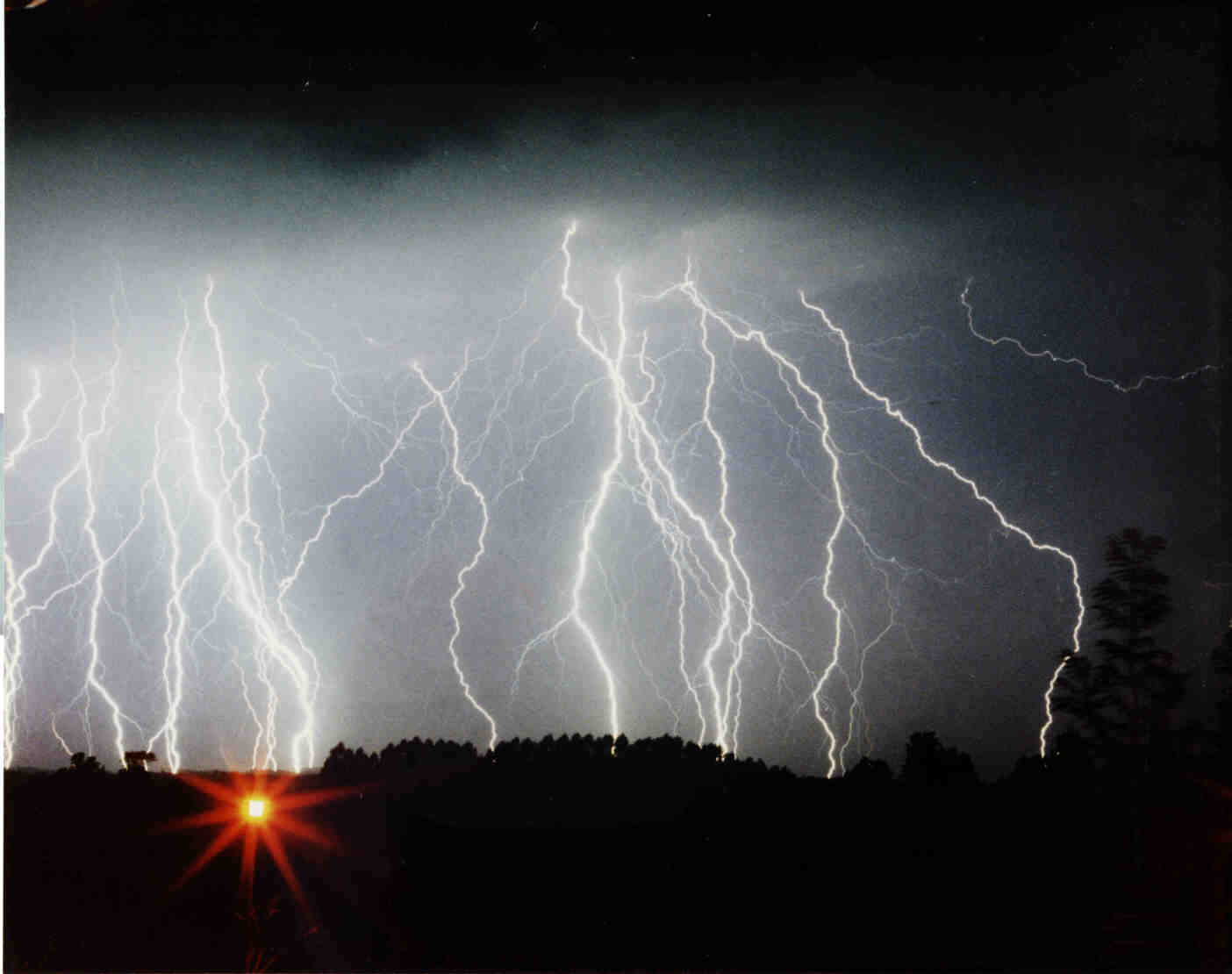 Multiple cloud-to-ground lightning bolts strike near a dark tree line at night.