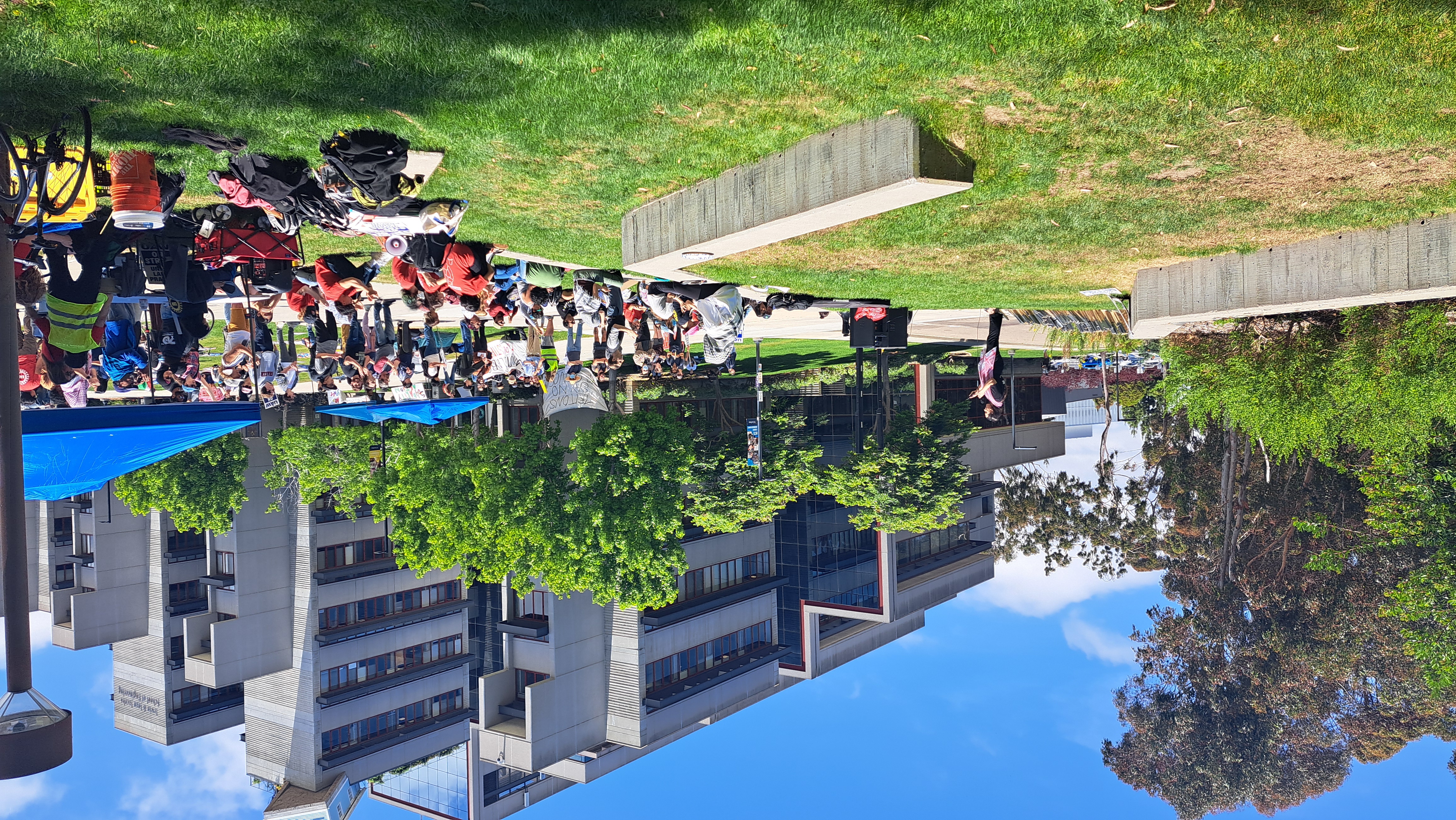 Large crowd of people gathered on a grassy university campus quad on a sunny day.