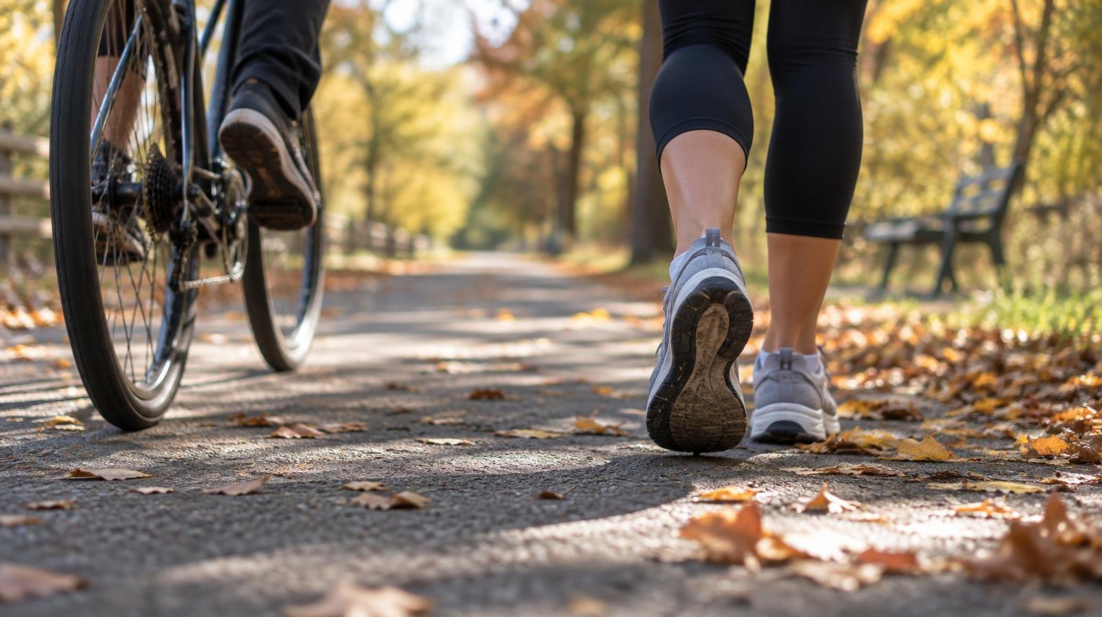 Paved park trail lined with autumn trees, bicycle and running shoes on path.
