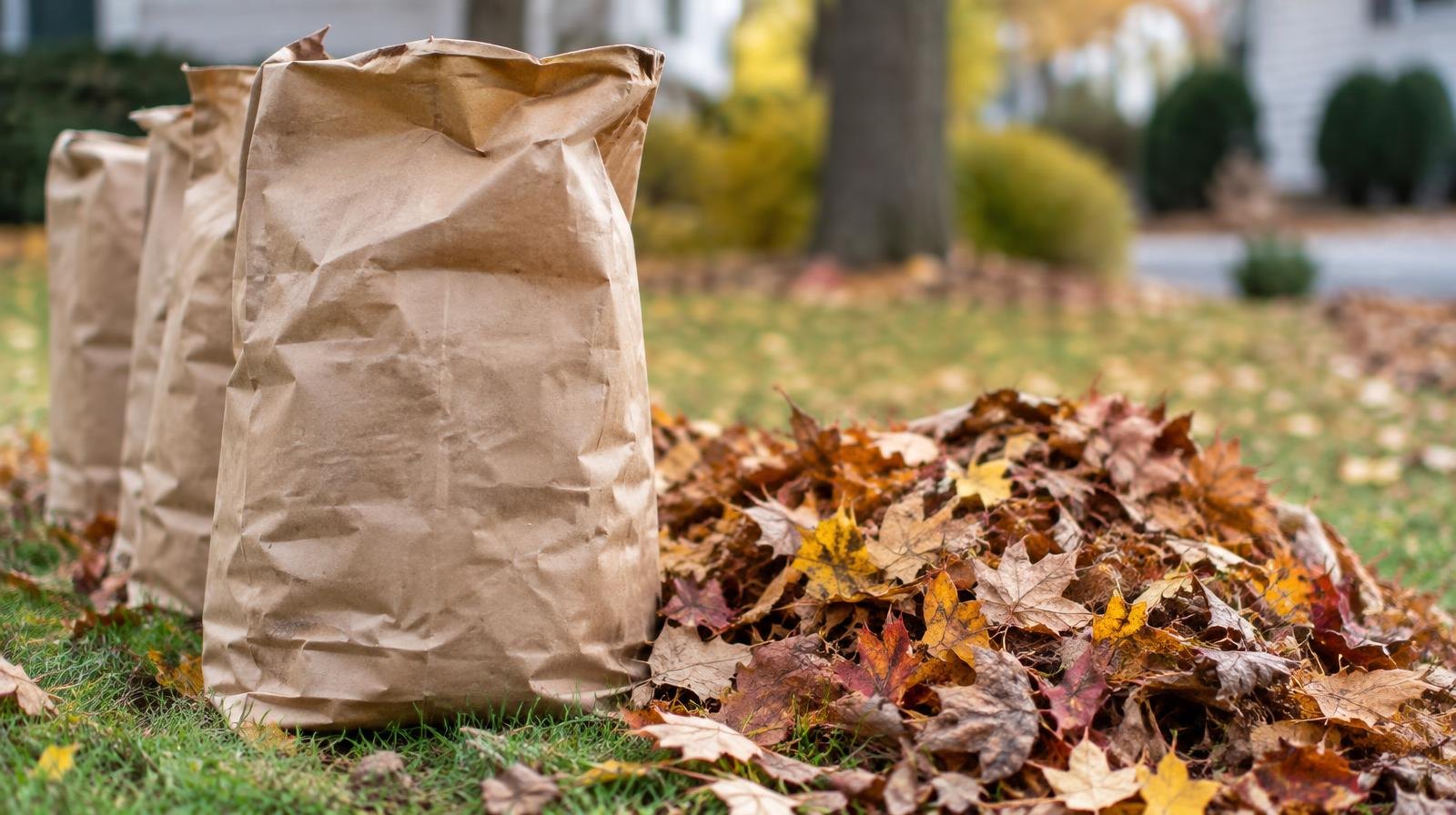 Stack of brown paper leaf bags next to a pile of colorful fallen leaves on grass.