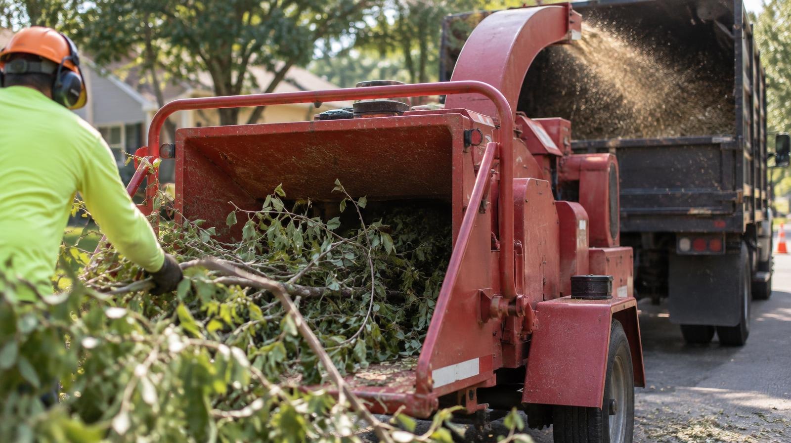 Red wood chipper attached to a truck processing tree branches on a street.