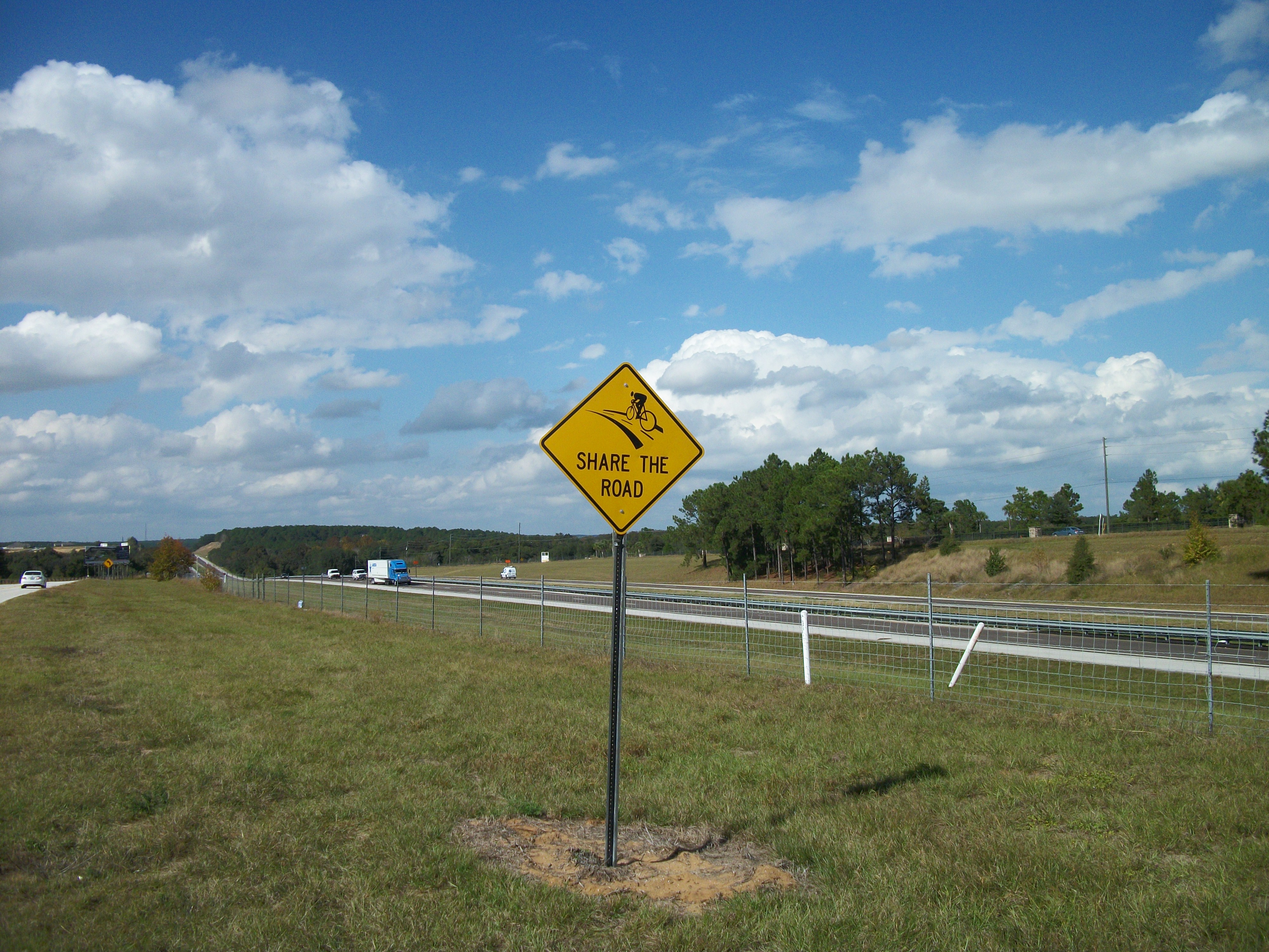 Yellow diamond-shaped Share the Road sign with bicycle symbol beside a Florida road.