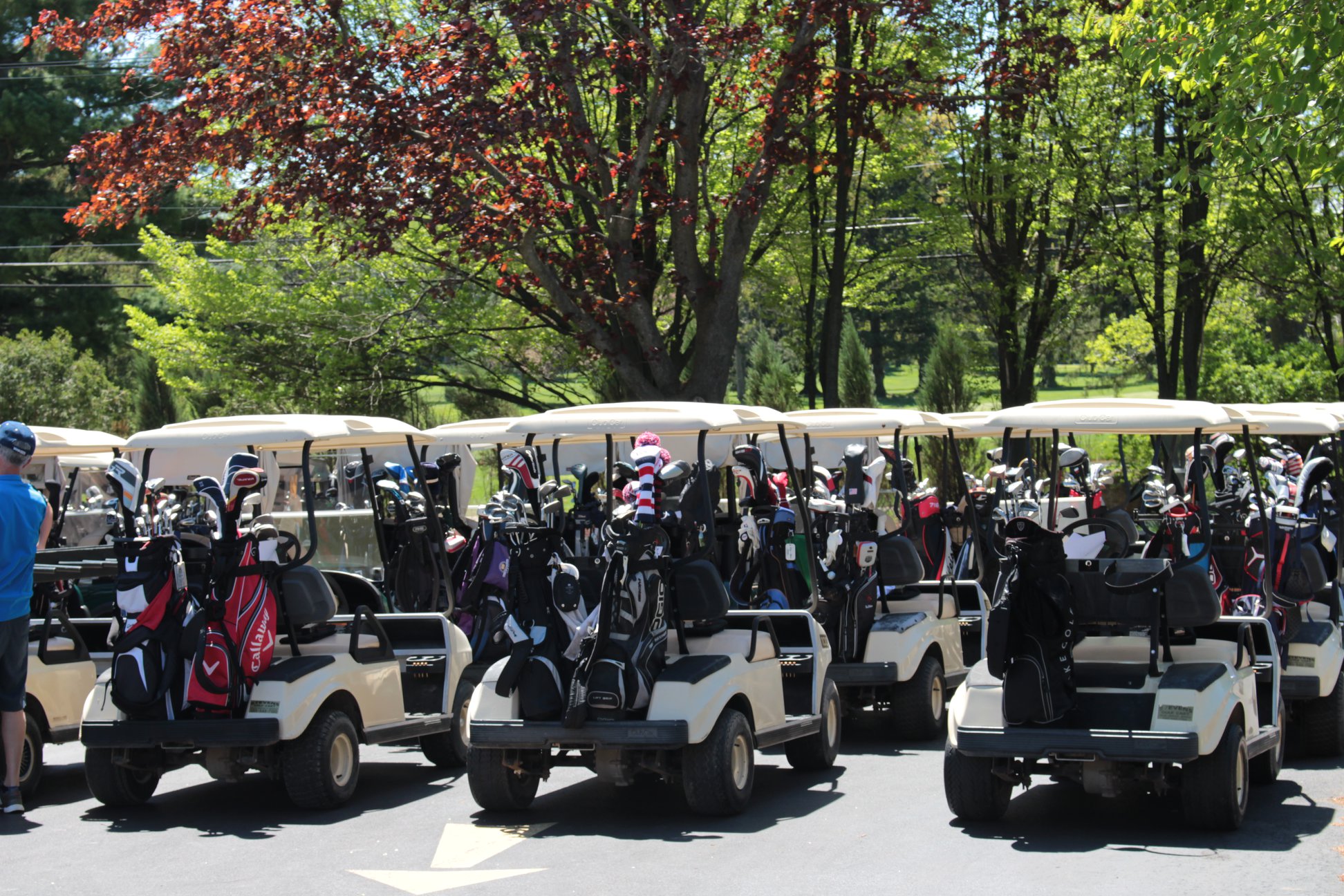 Rows of golf carts loaded with golf bags staged at an outdoor golf tournament.