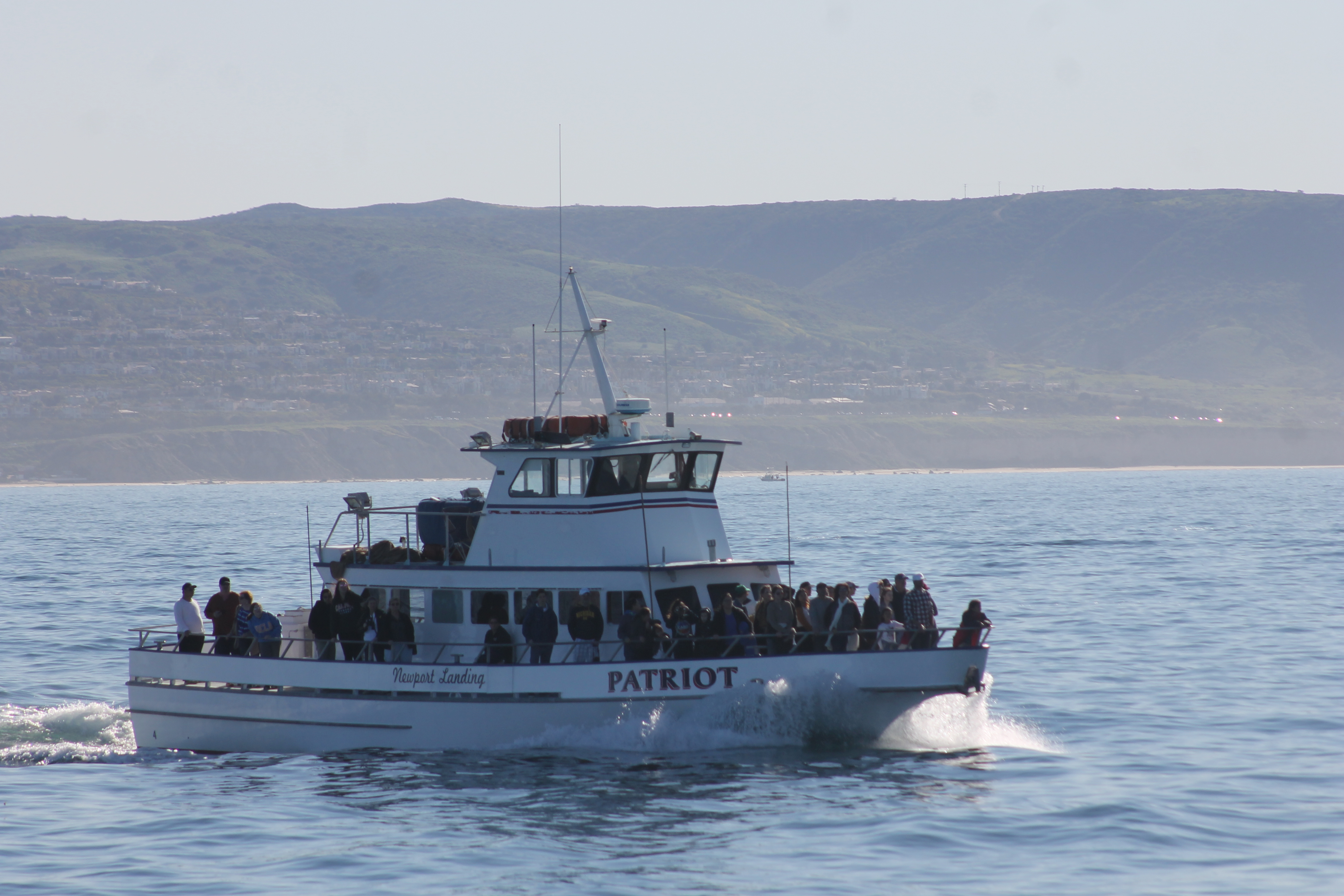 A crowded white passenger whale-watching boat underway on open ocean near a hilly coastline.