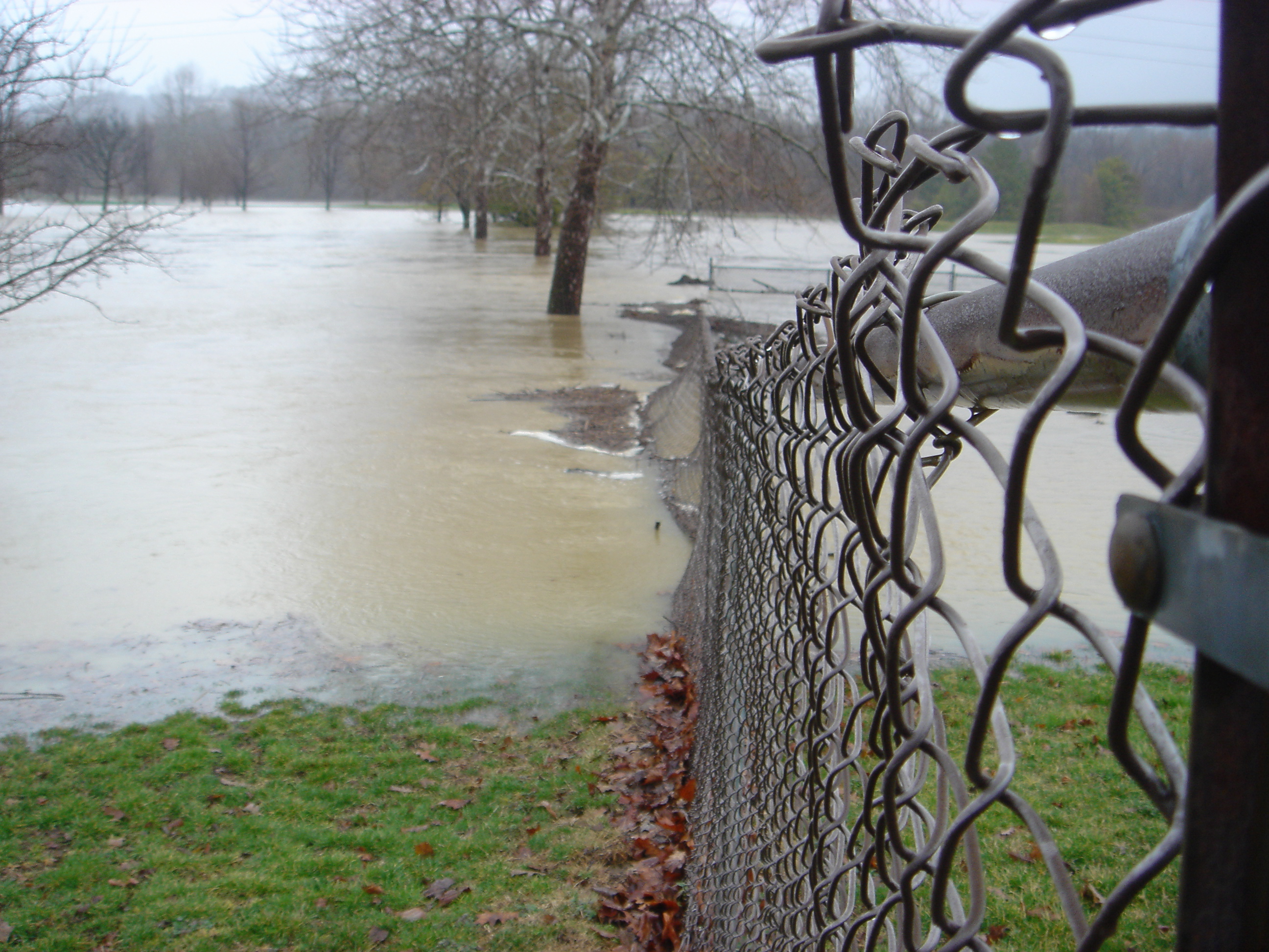 Brown floodwaters rising behind a chain-link fence, partially surrounding trees.