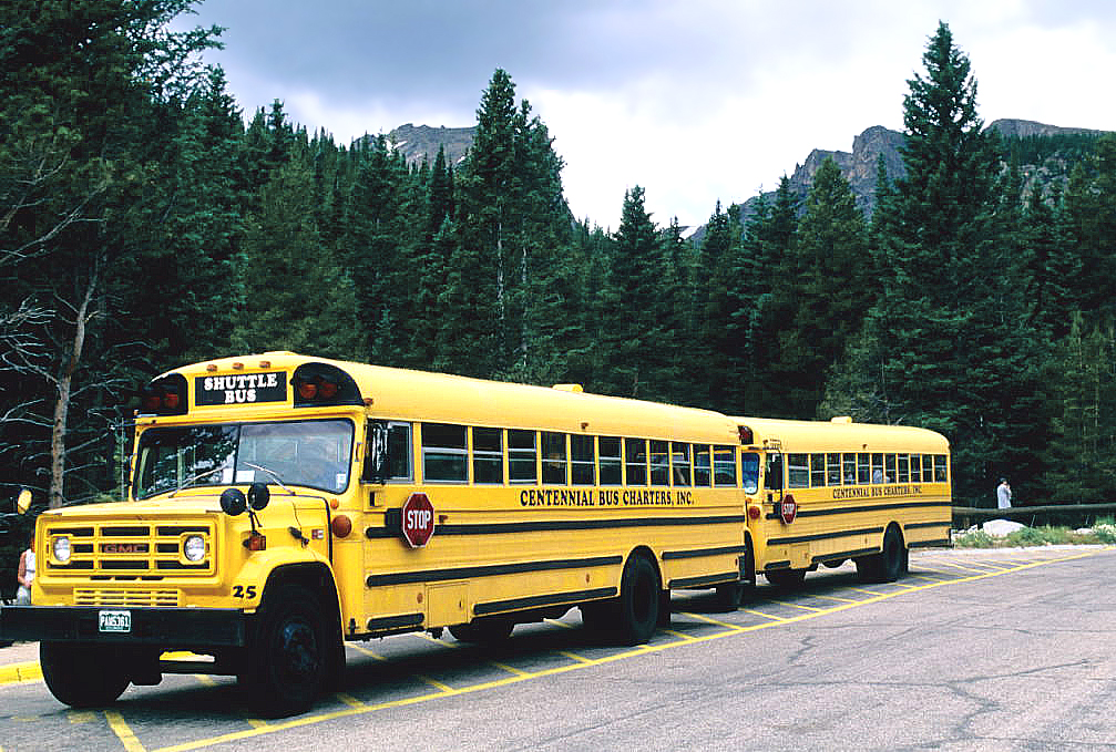 Two yellow school buses parked side by side in a paved parking lot.
